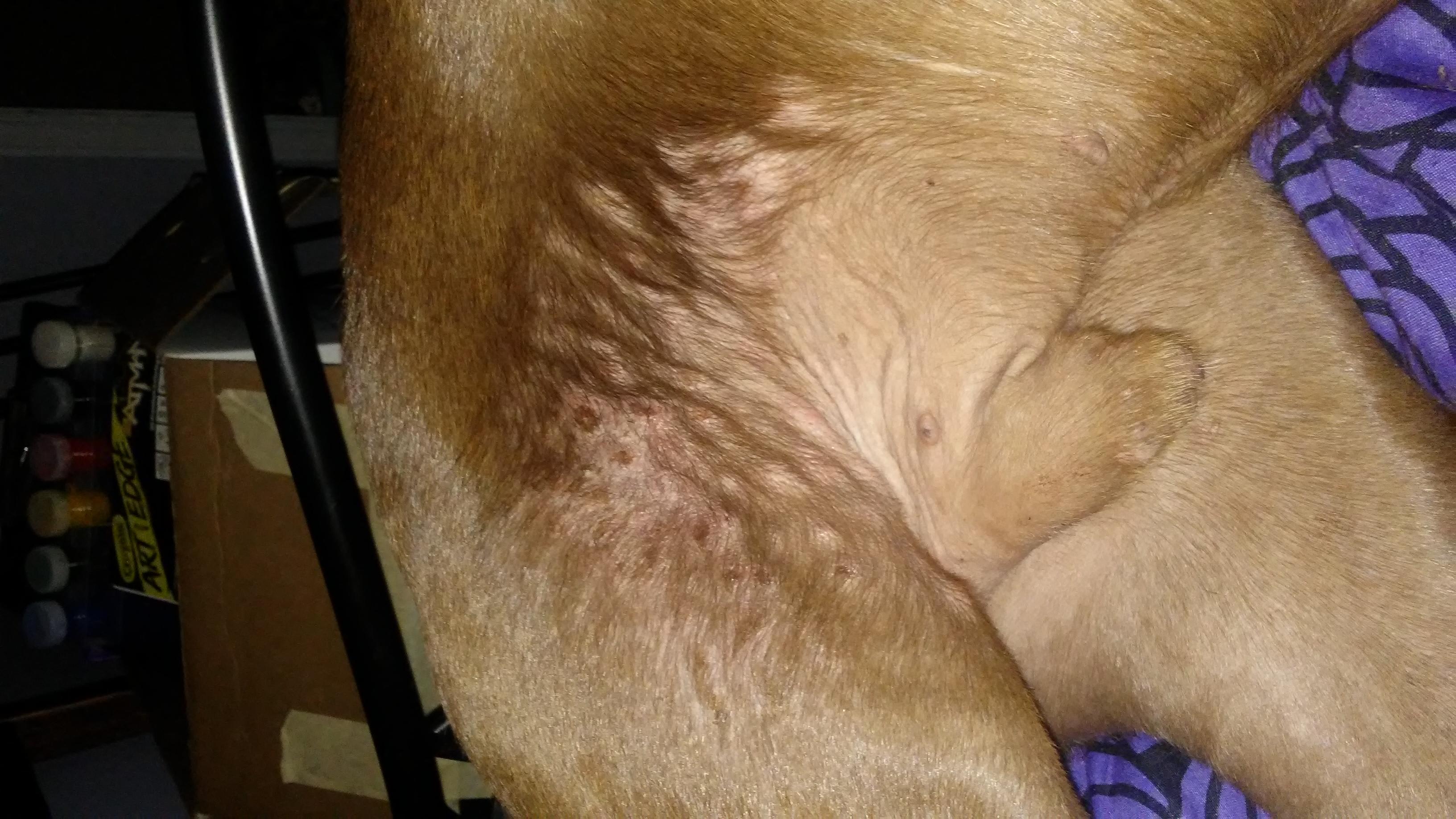 Question details sensitive content