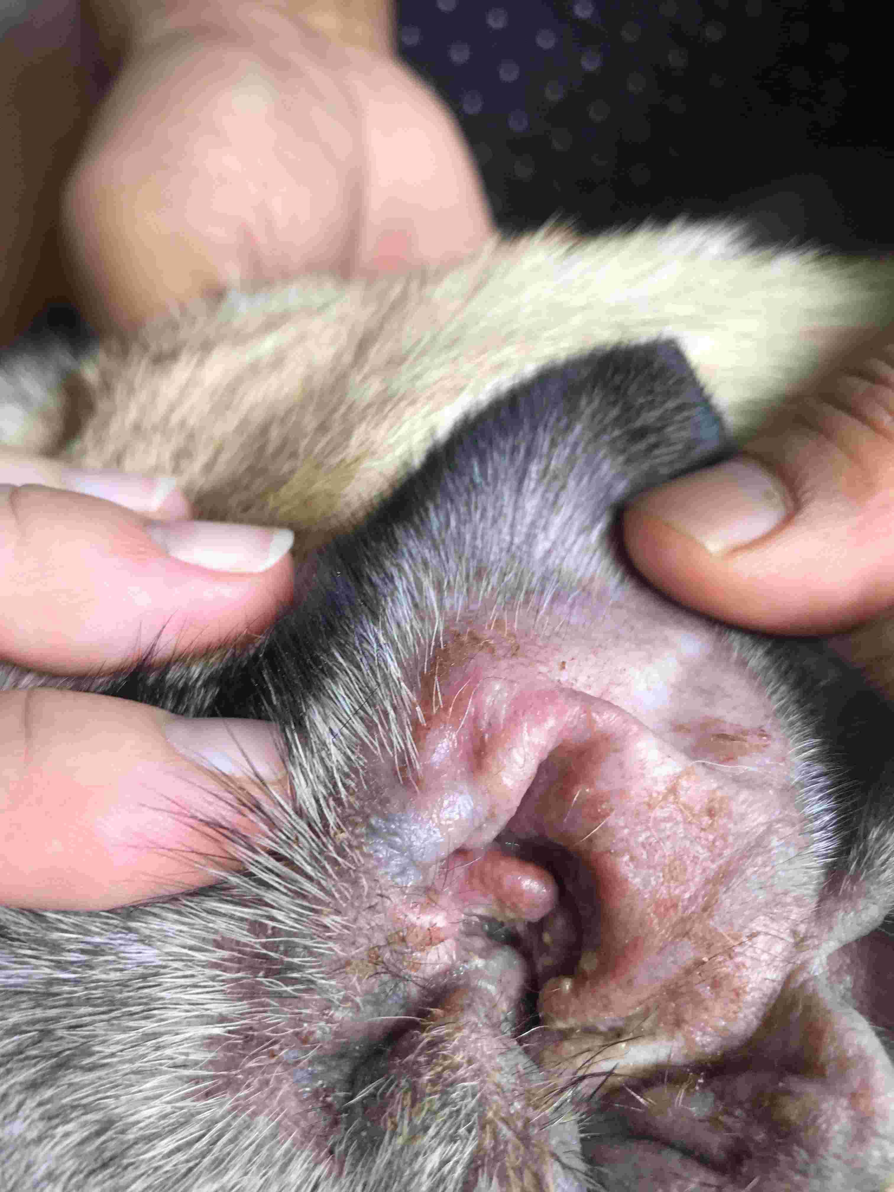 Question details sensitive content