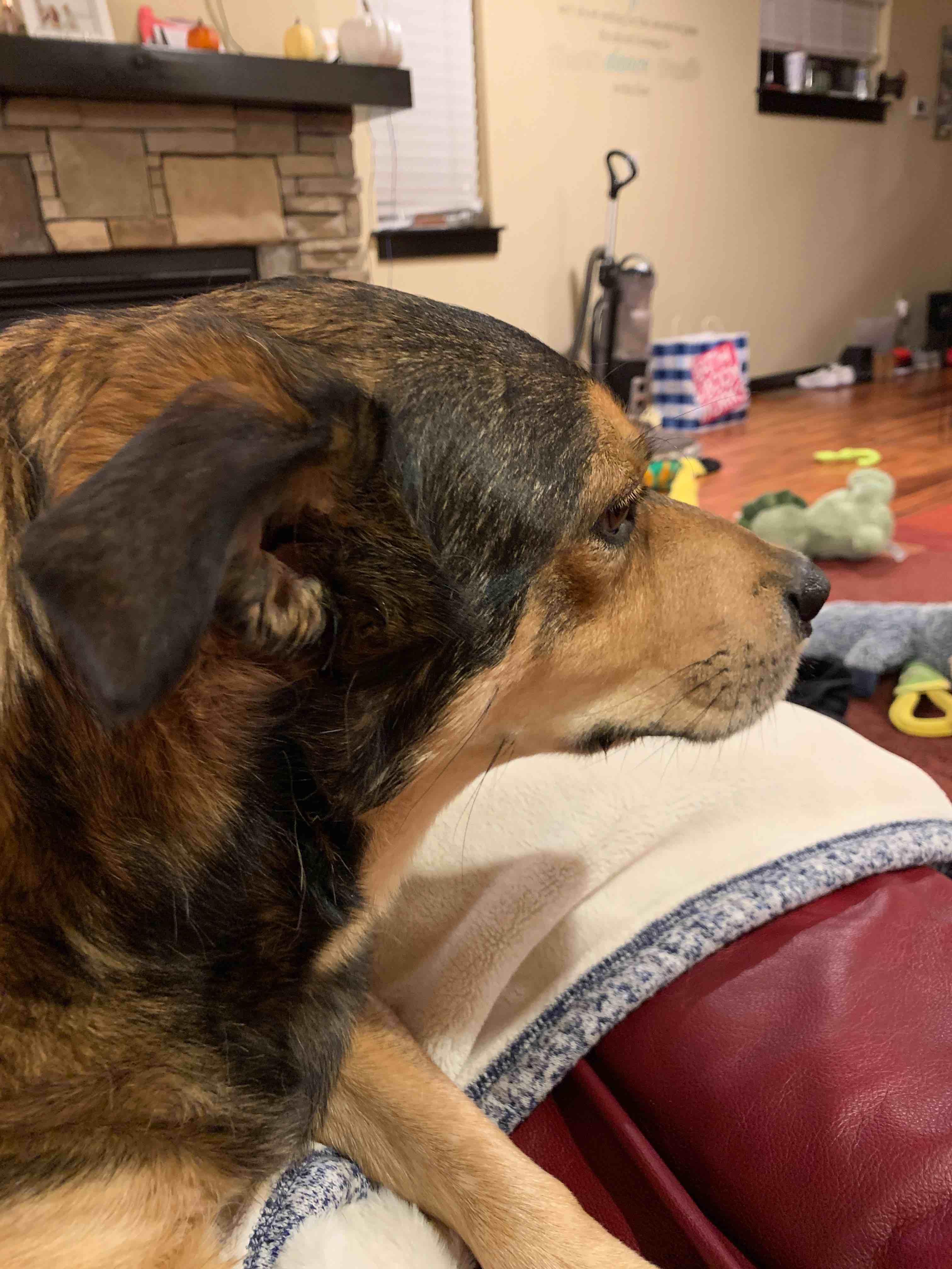 Question details sensitive content