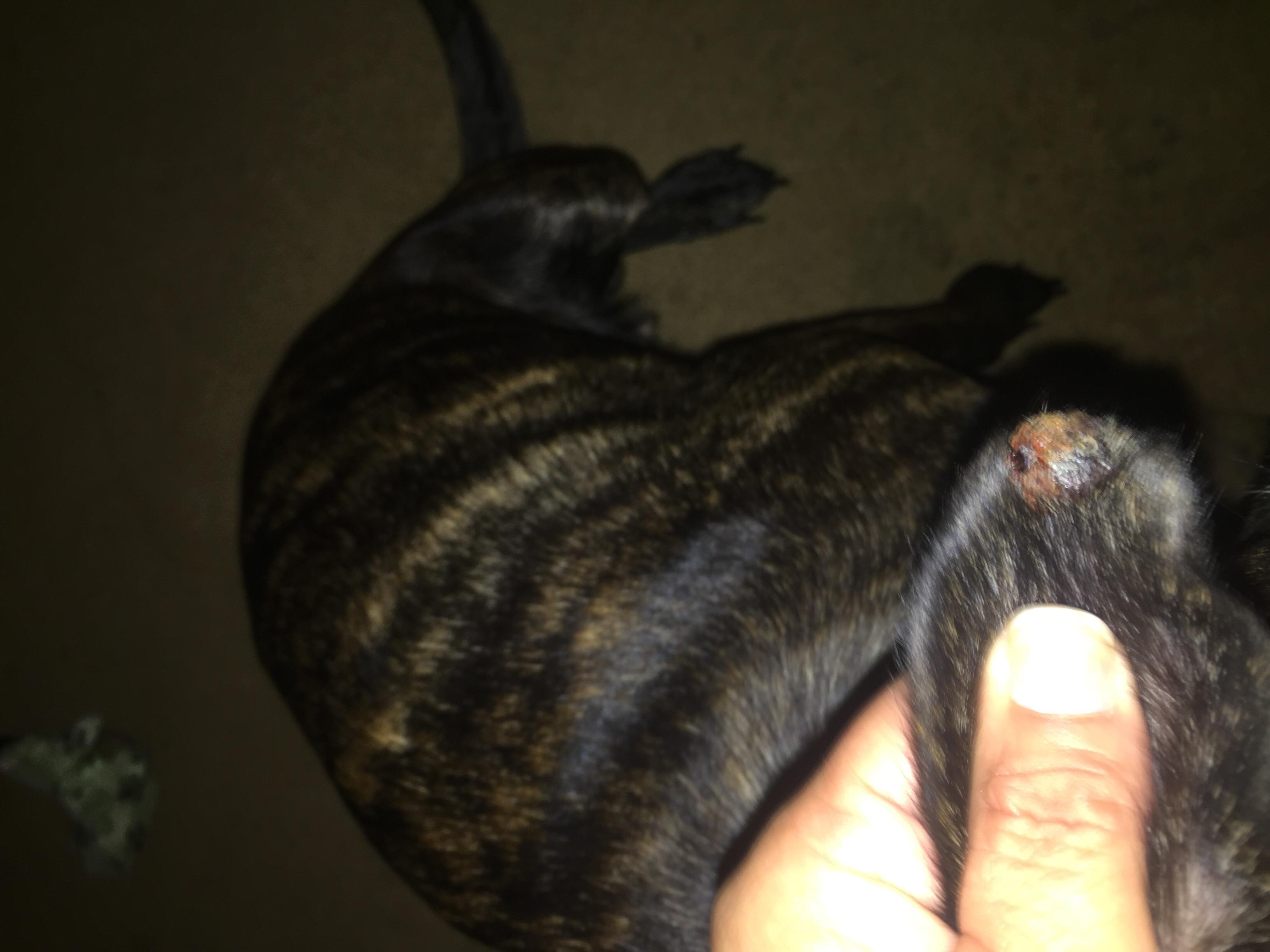 Question details sensitive content