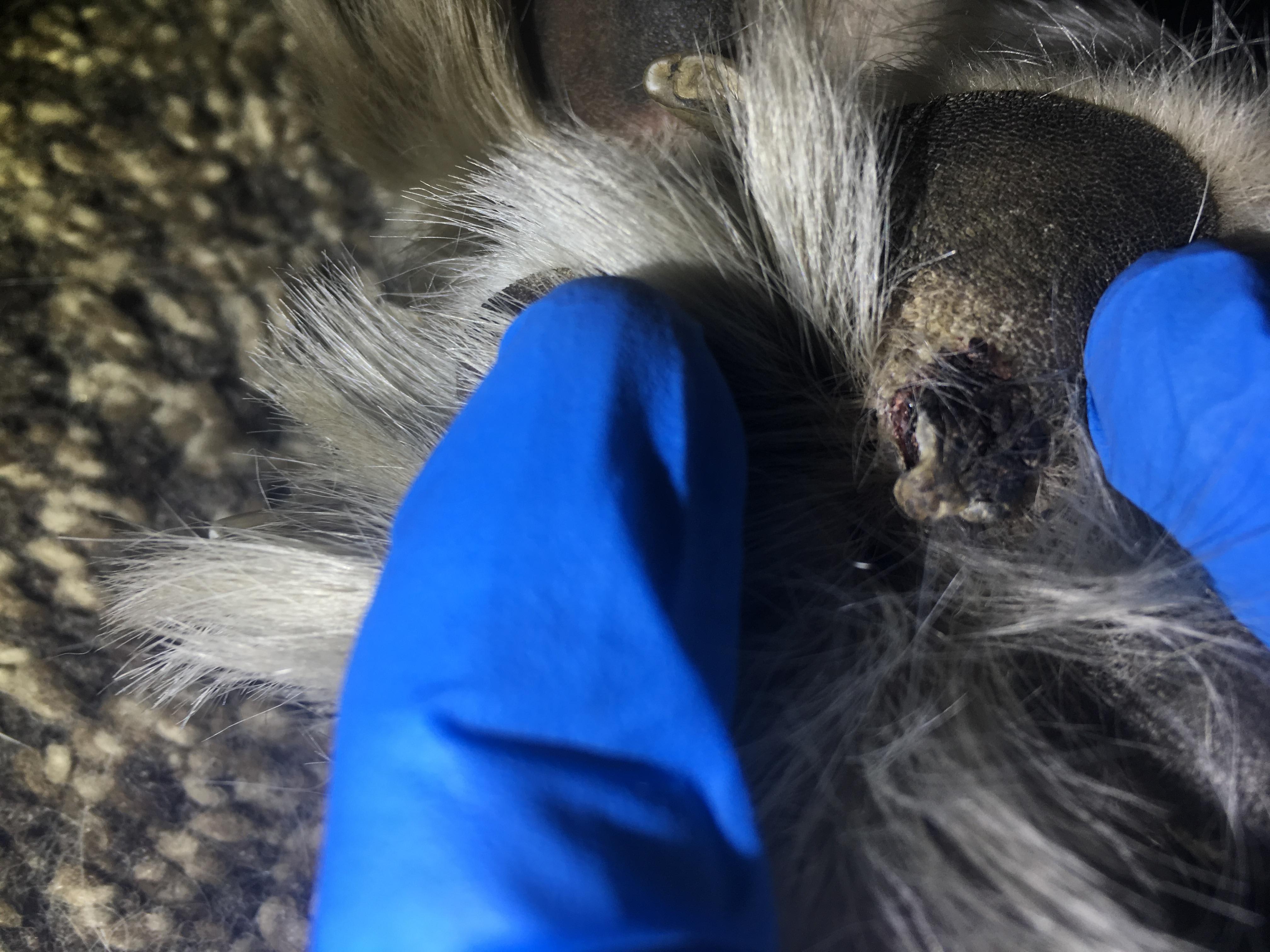 Question details sensitive content