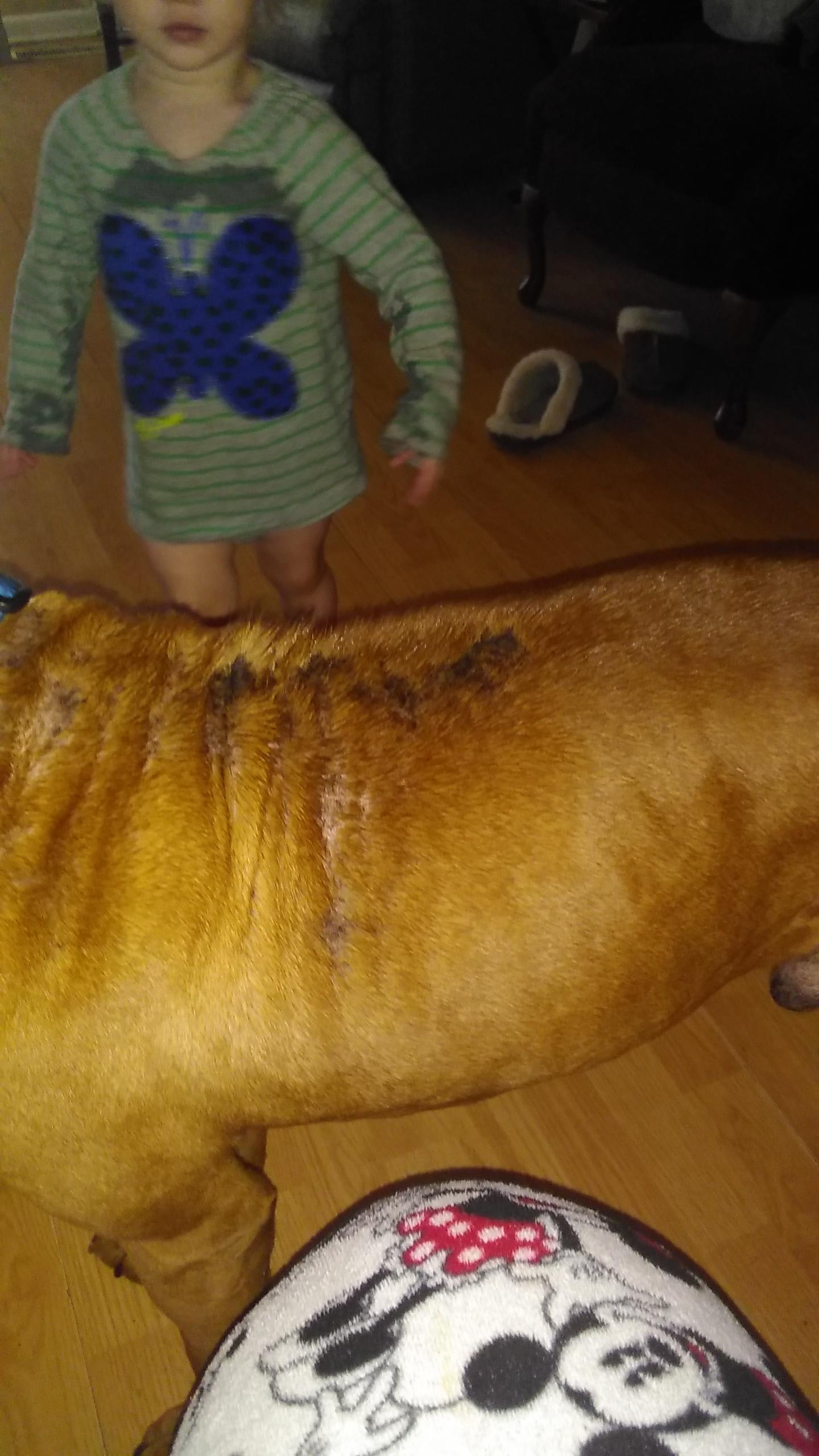 Question details sensitive content