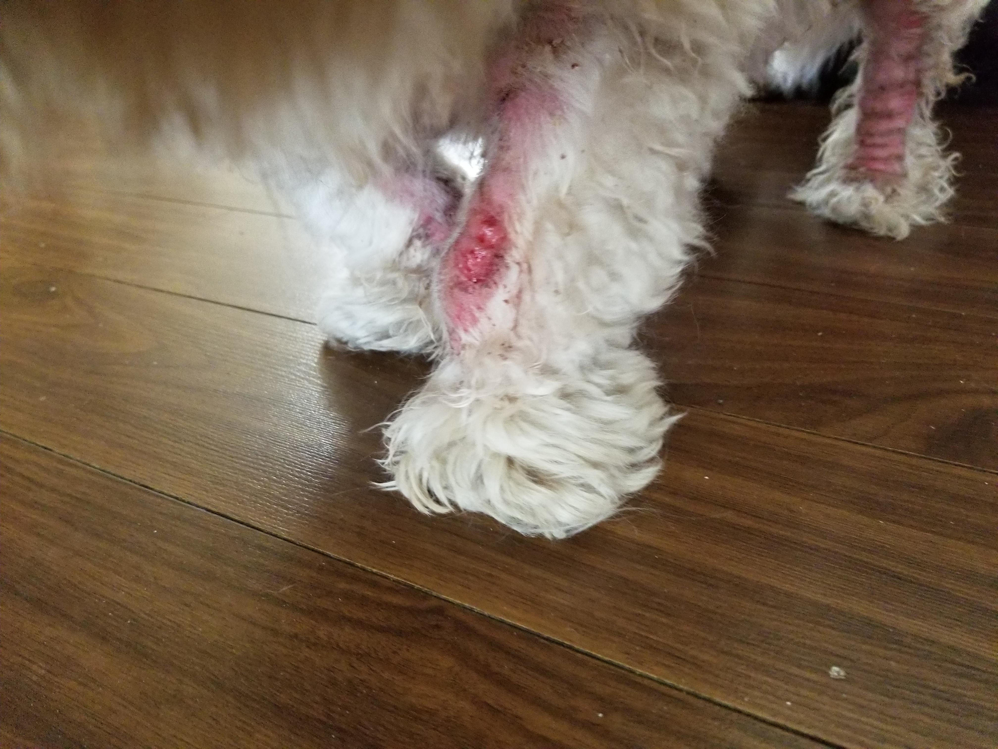 Question details sensitive content