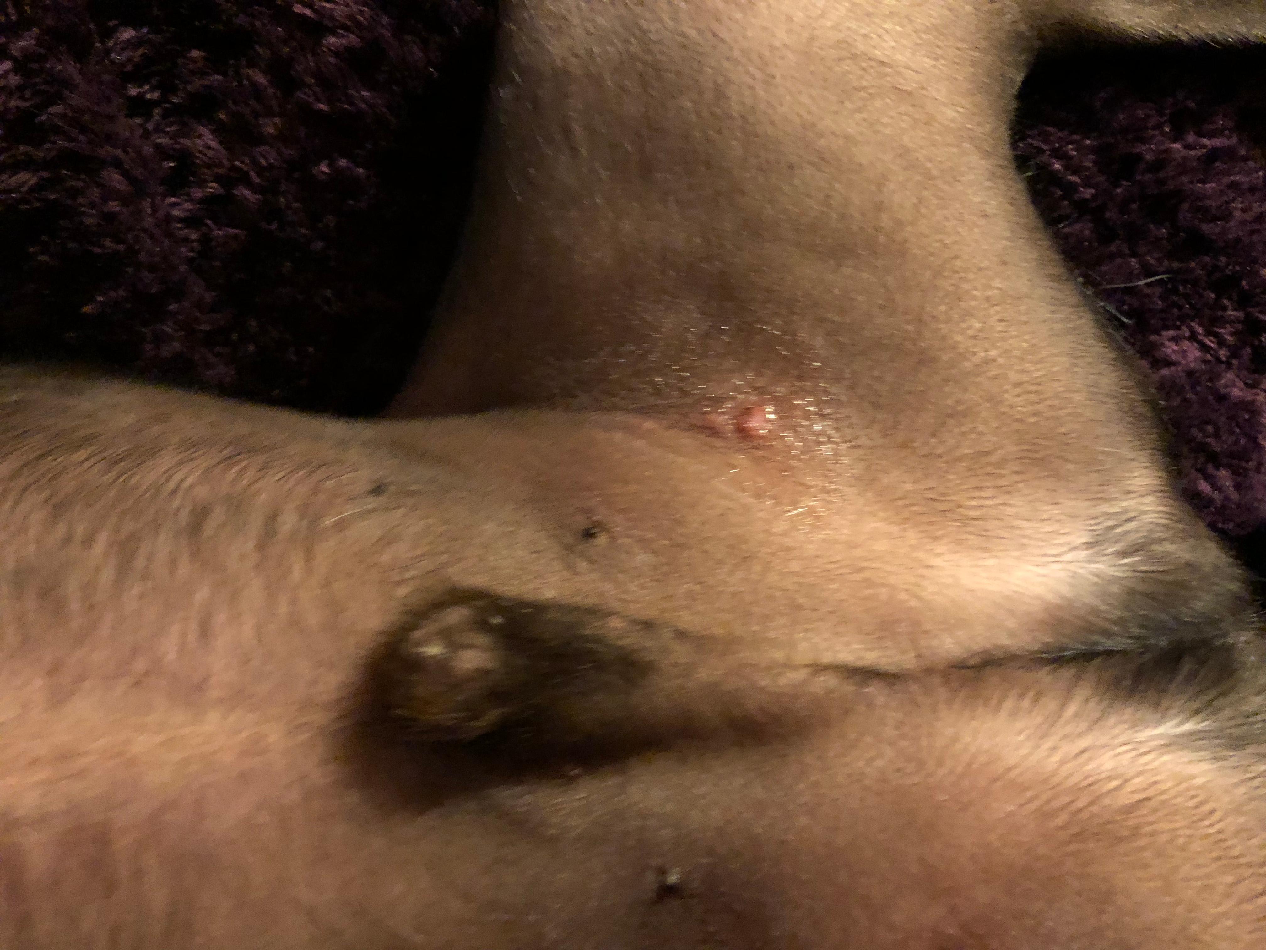 Question details sensitive content