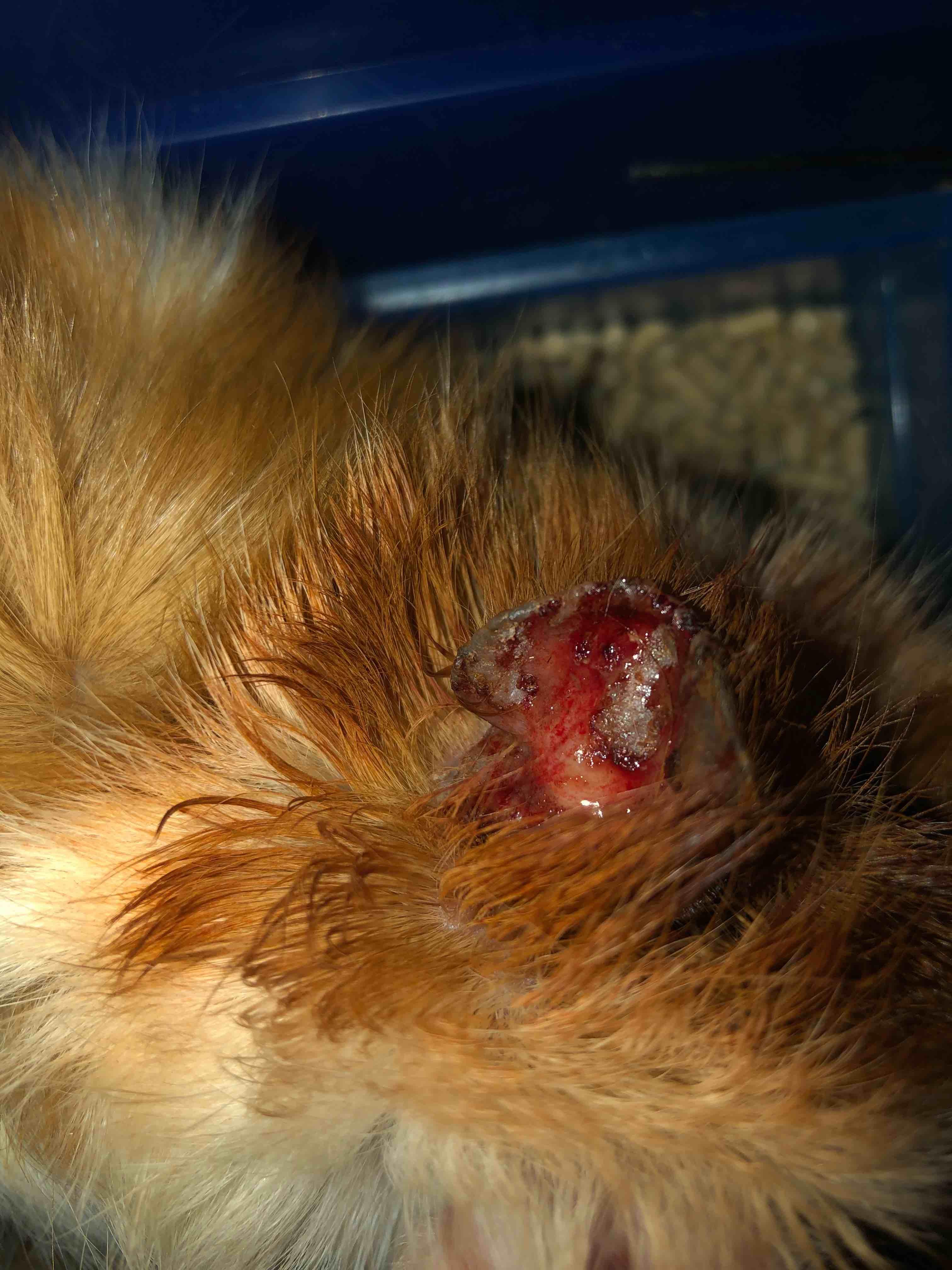 Question details sensitive content