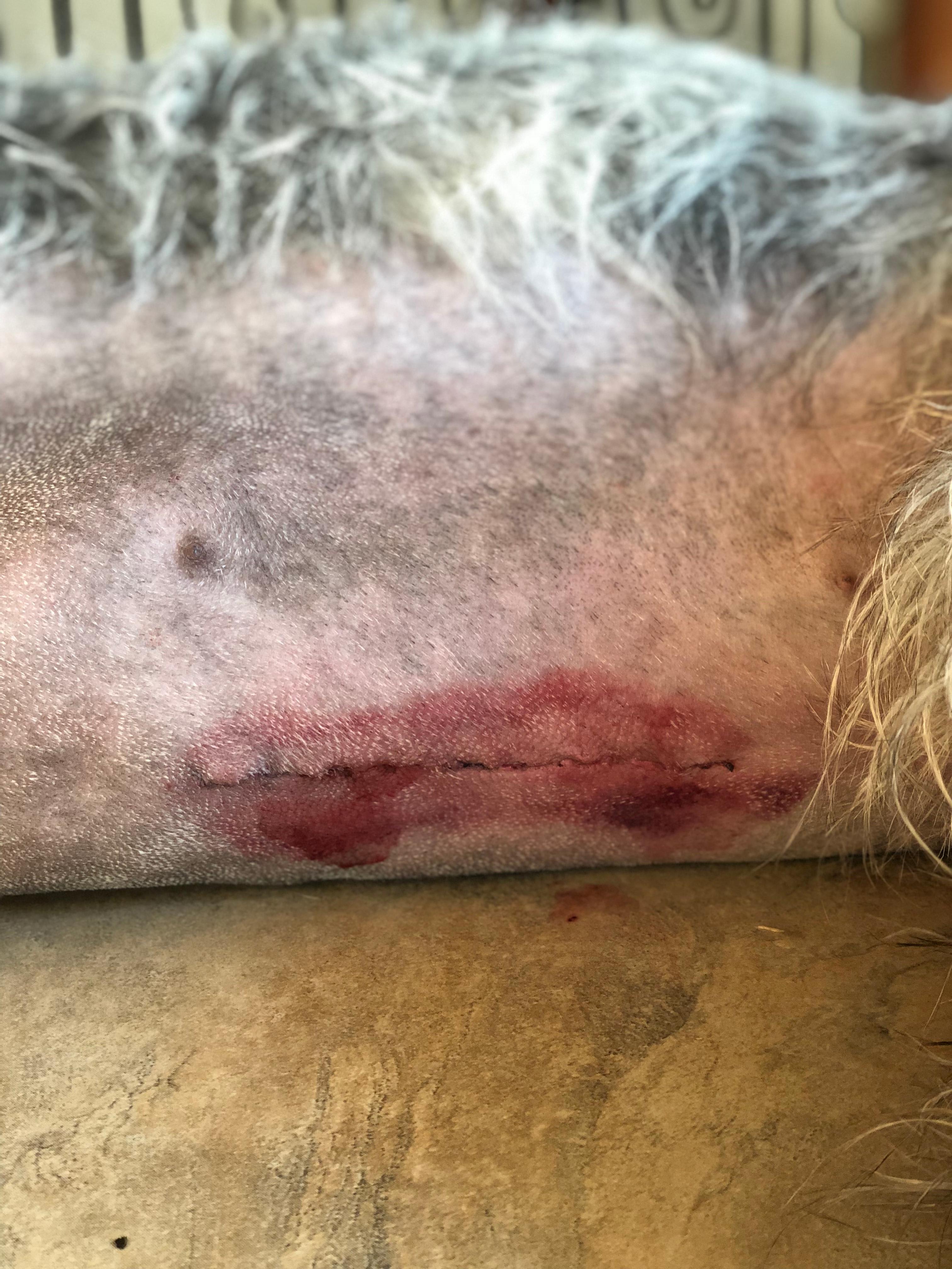 Question details sensitive content