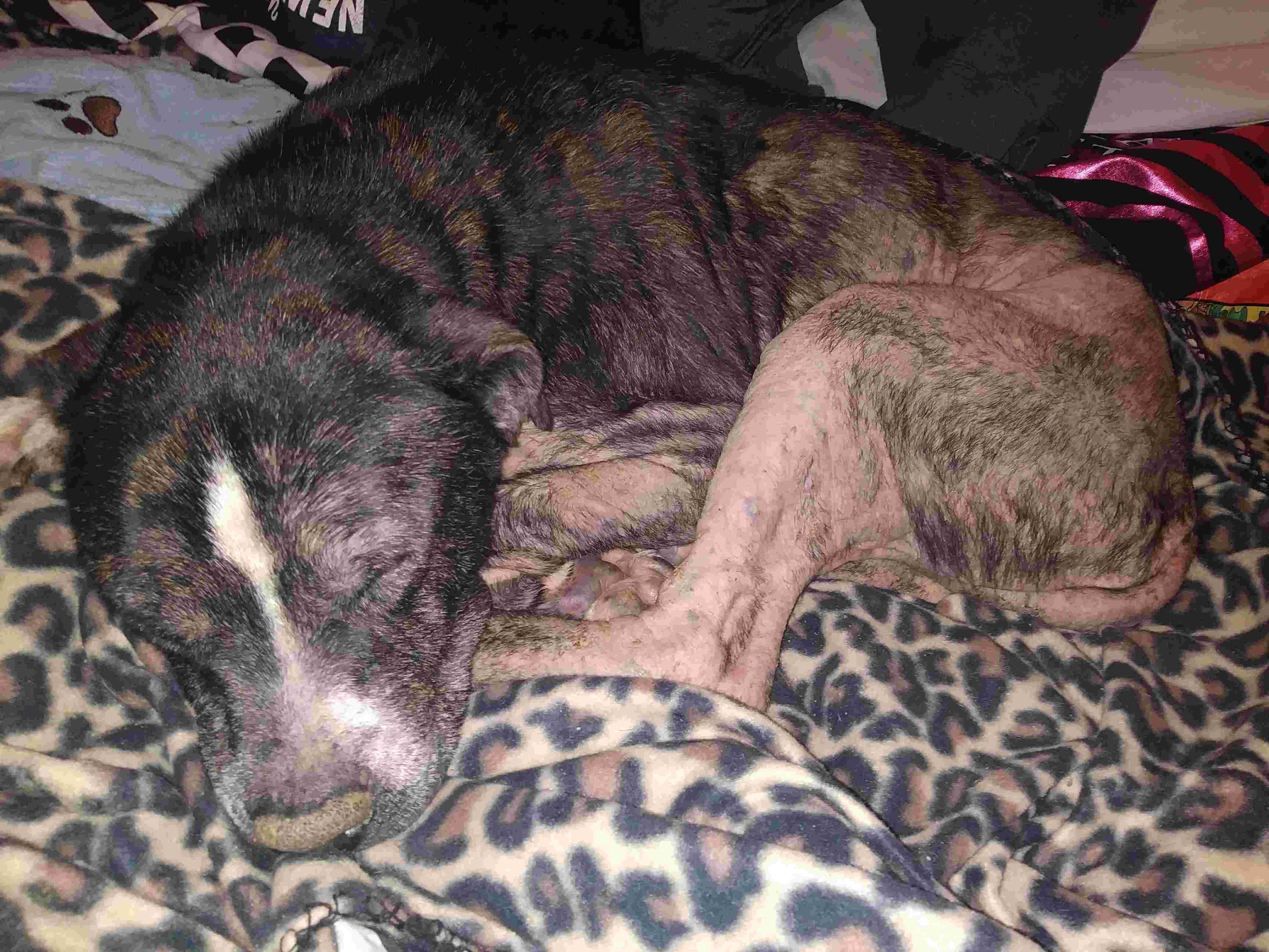 Question details sensitive content