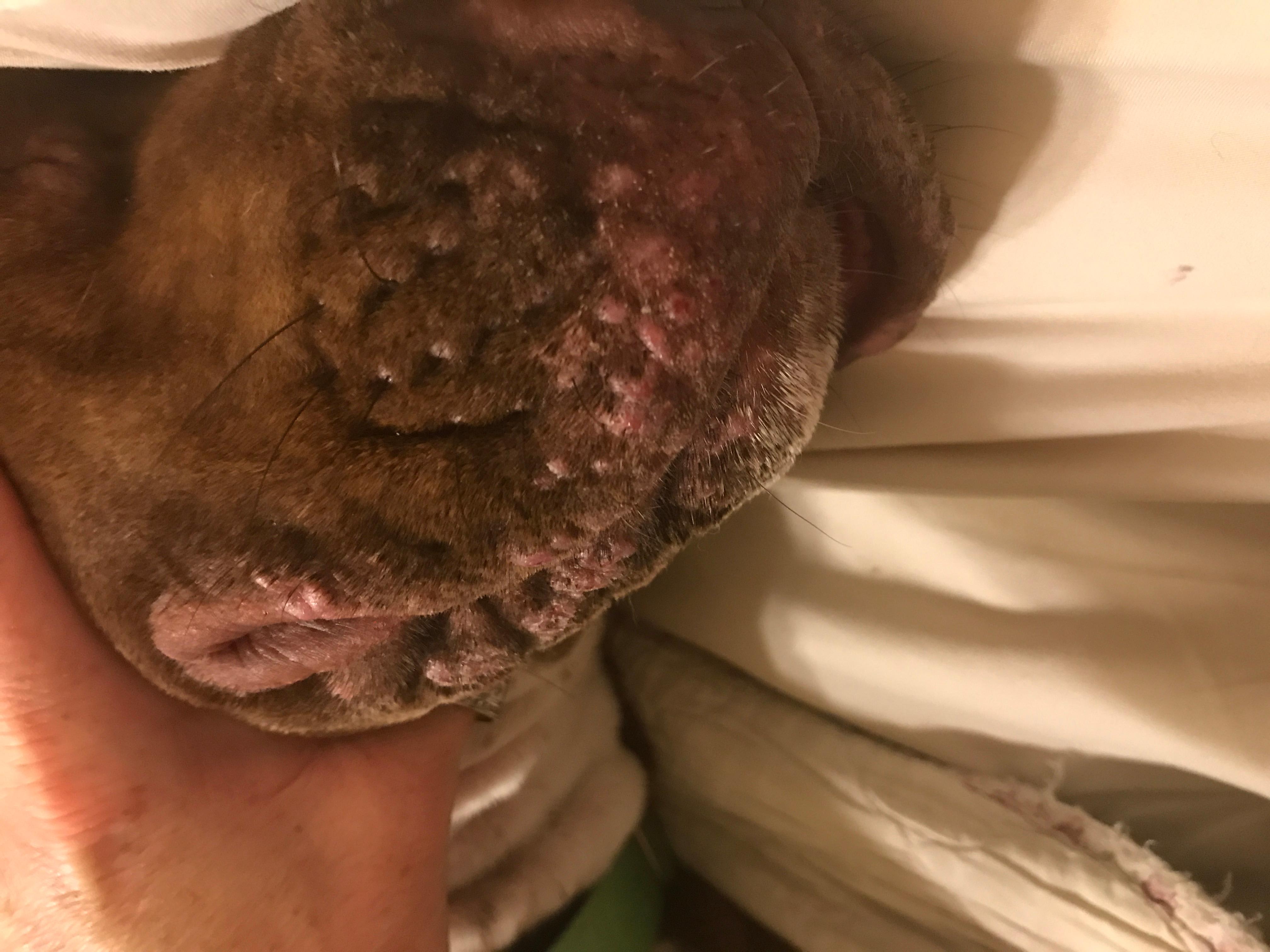 Question details sensitive content