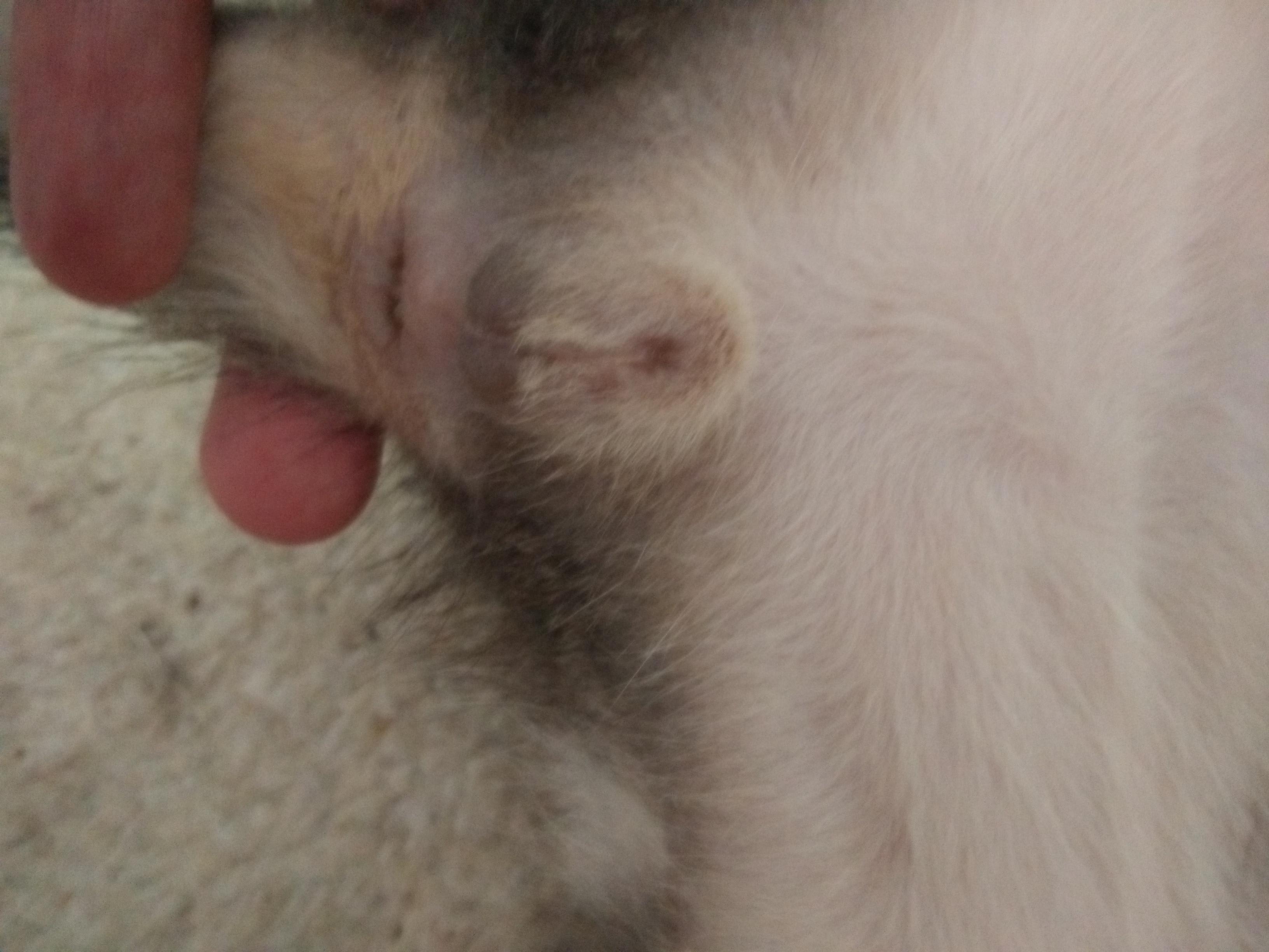 Question details sensitive content