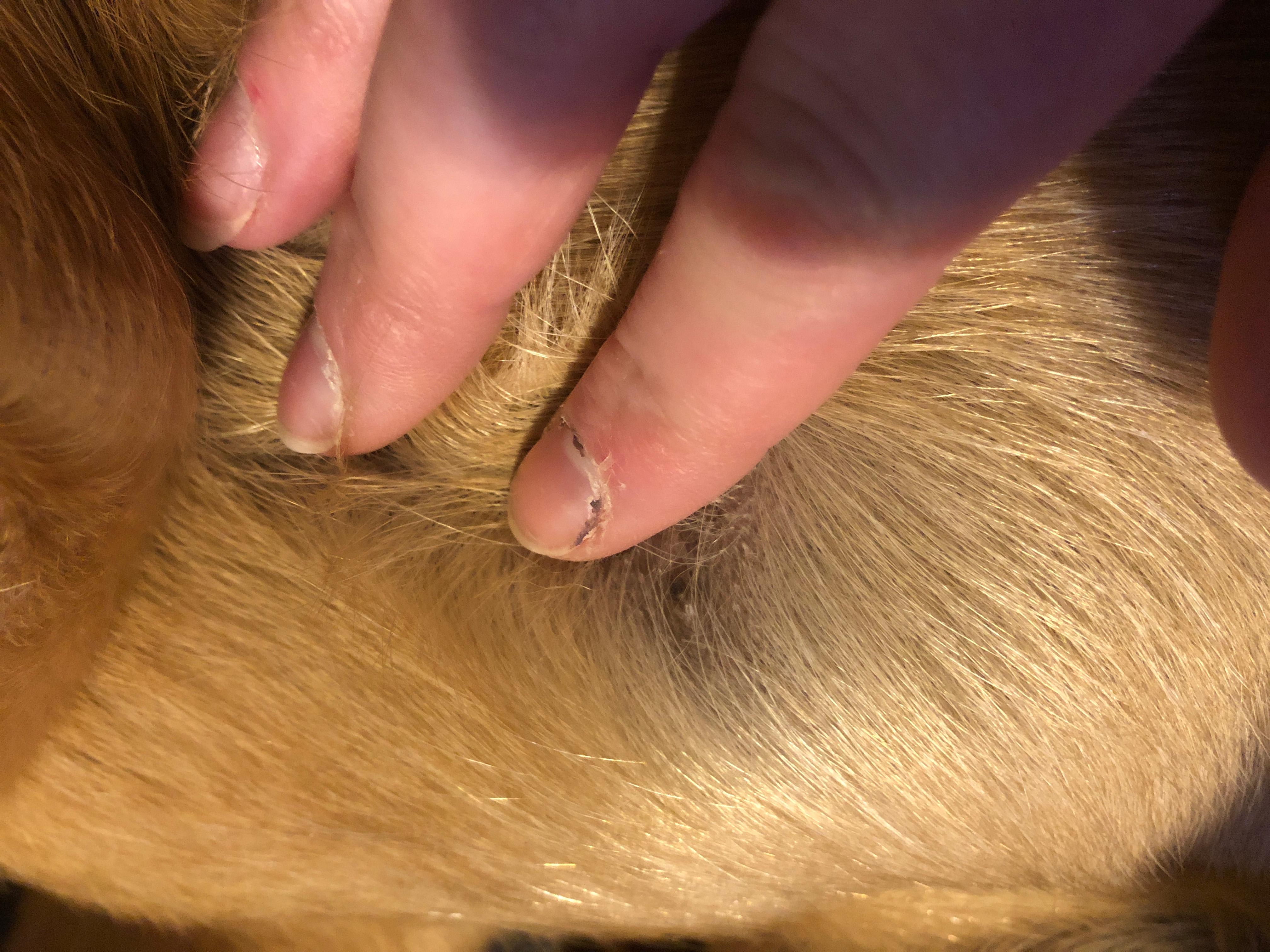 Question details sensitive content