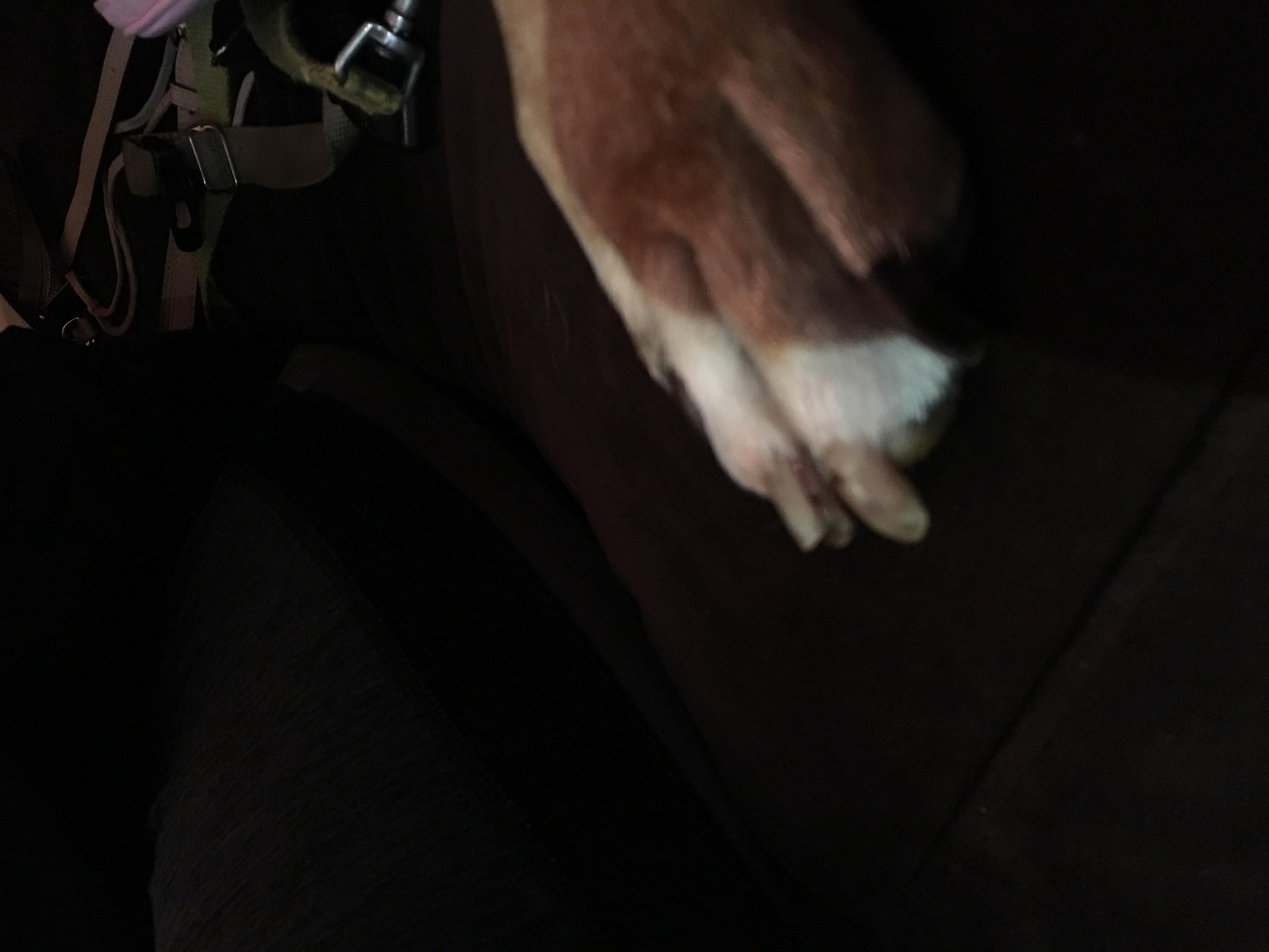 Question details sensitive content