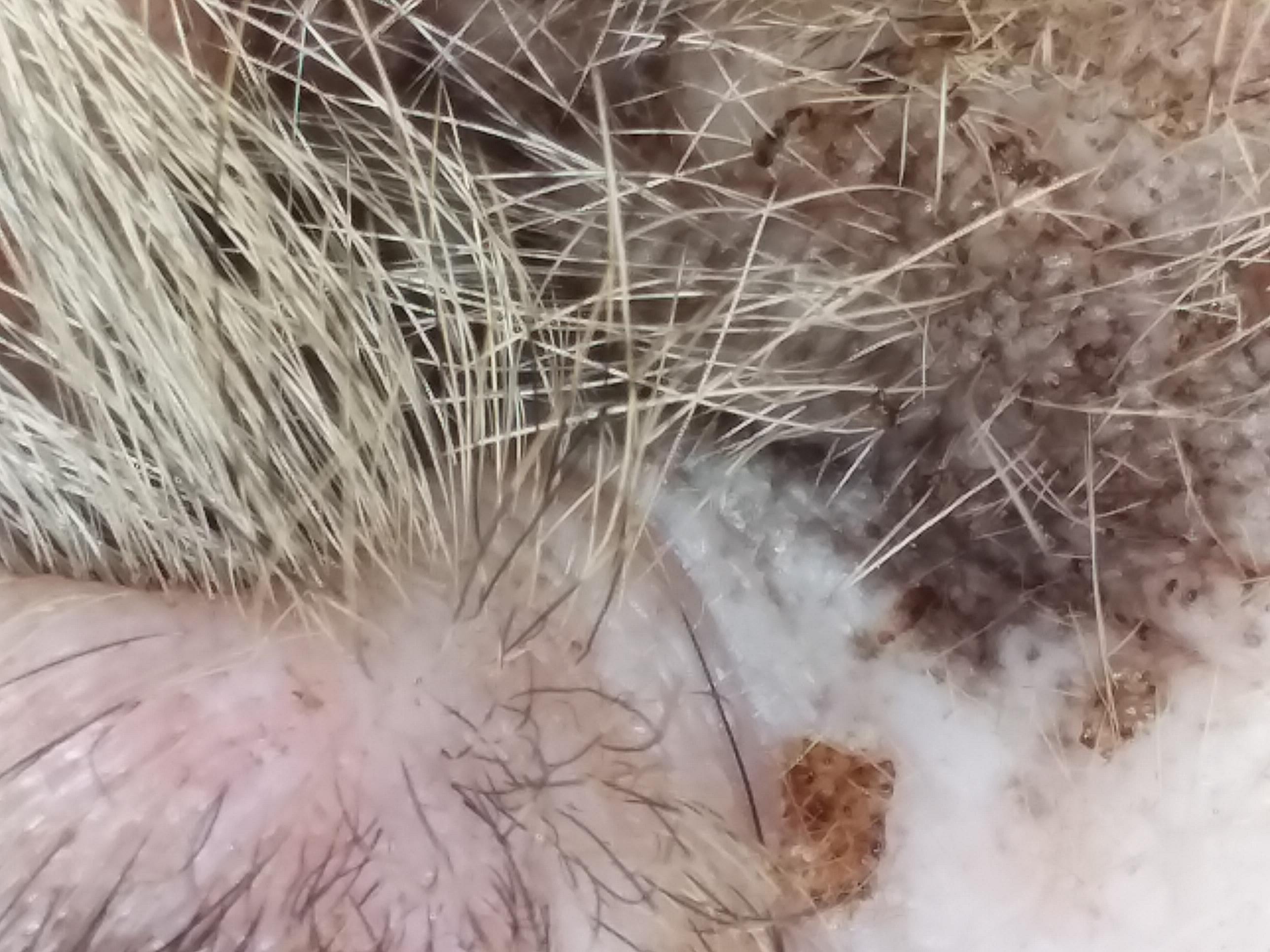 Question details sensitive content