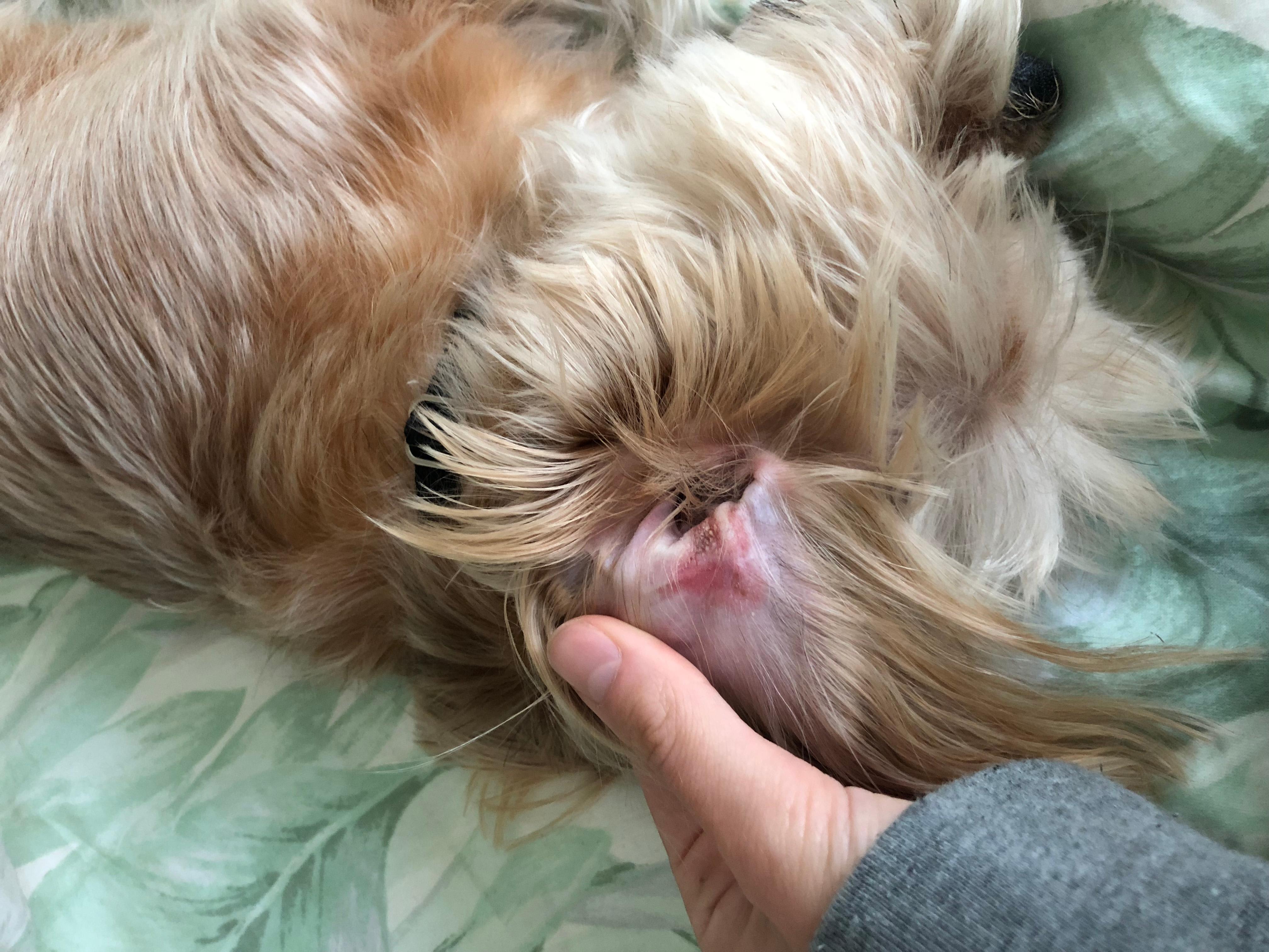 Question details sensitive content