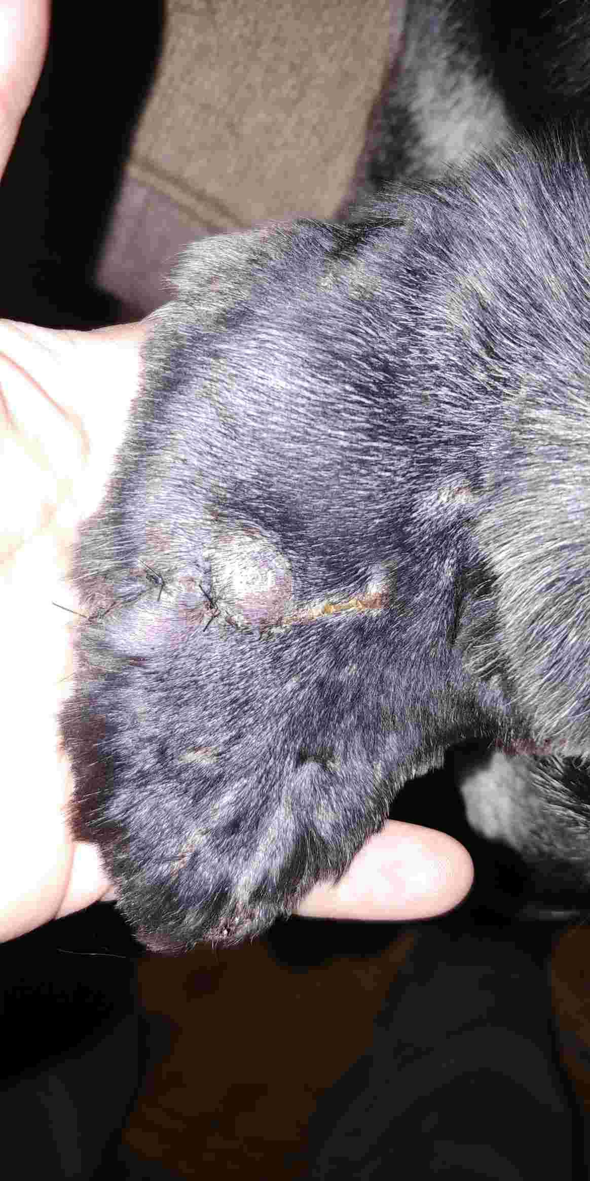 Question details sensitive content