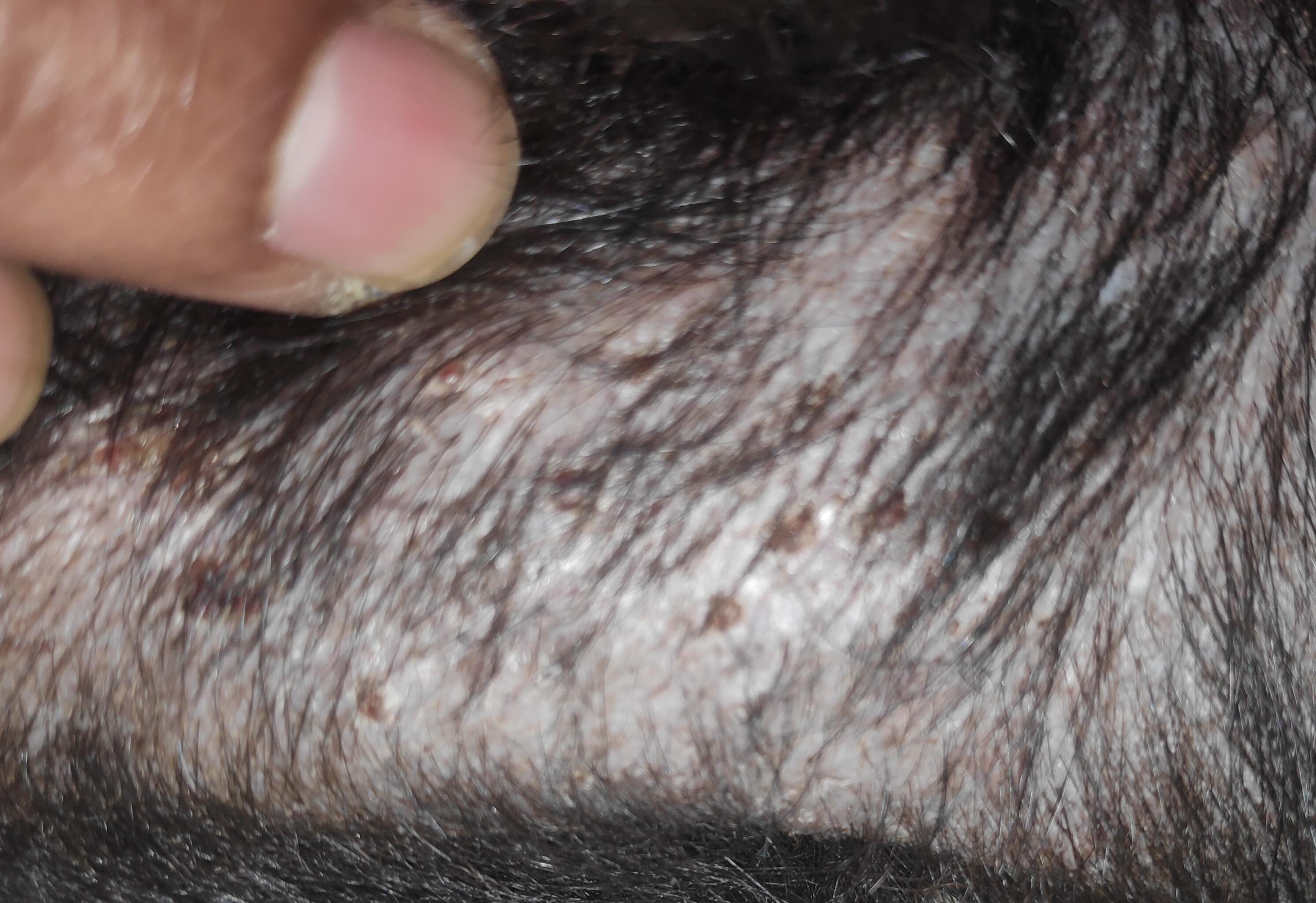 Question details sensitive content