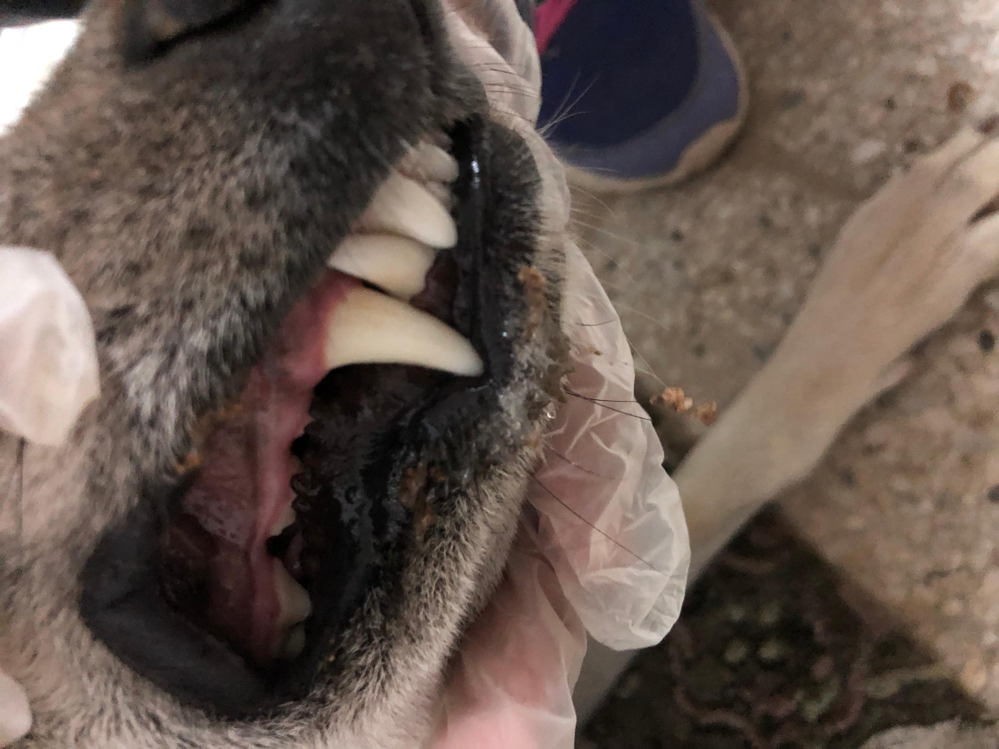 Question details sensitive content