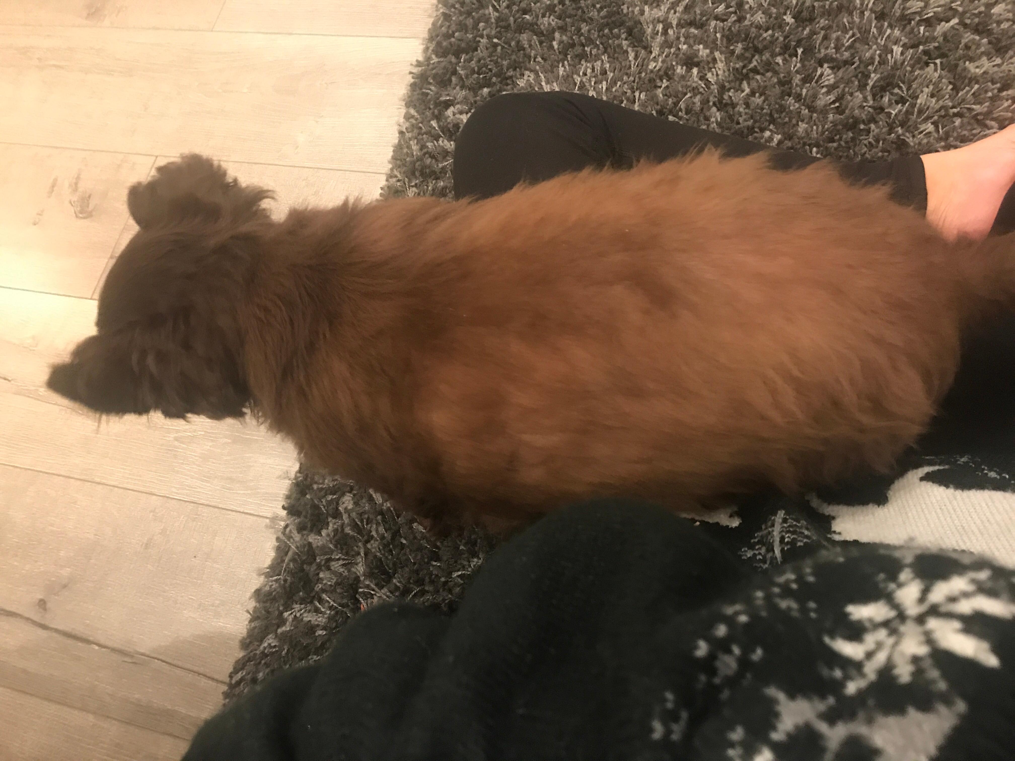 Question details sensitive content