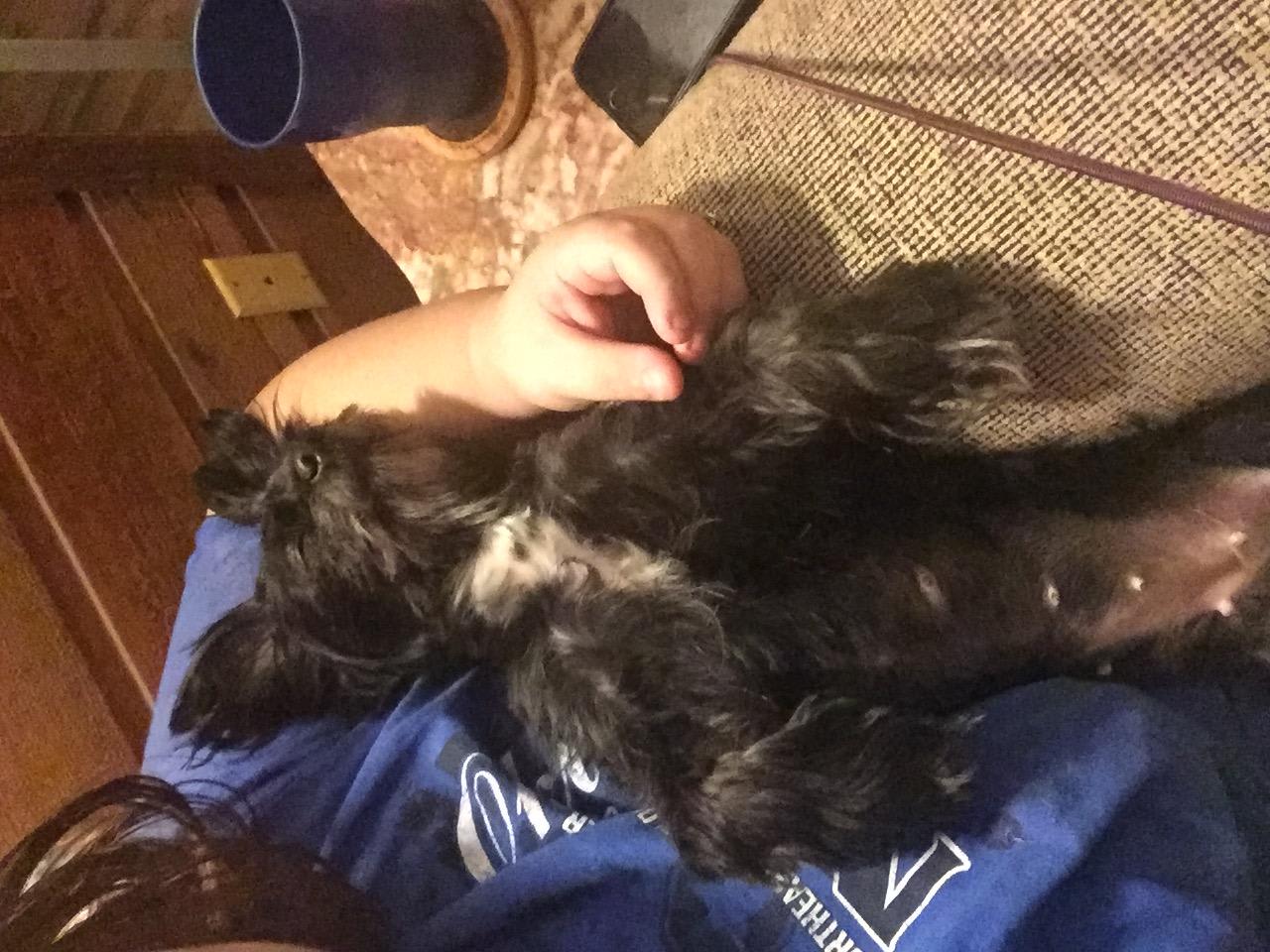 Question details sensitive content