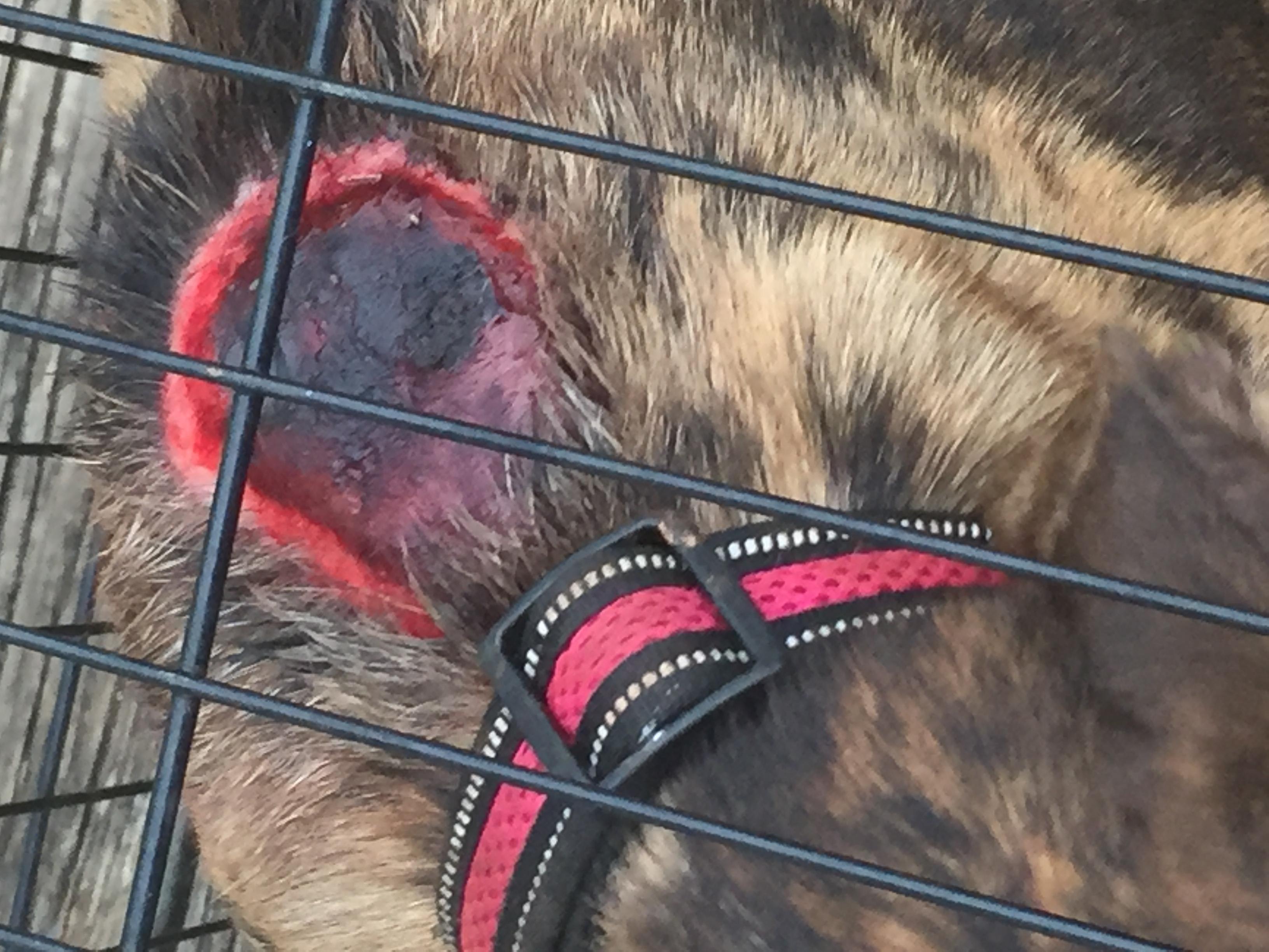 Question details sensitive content