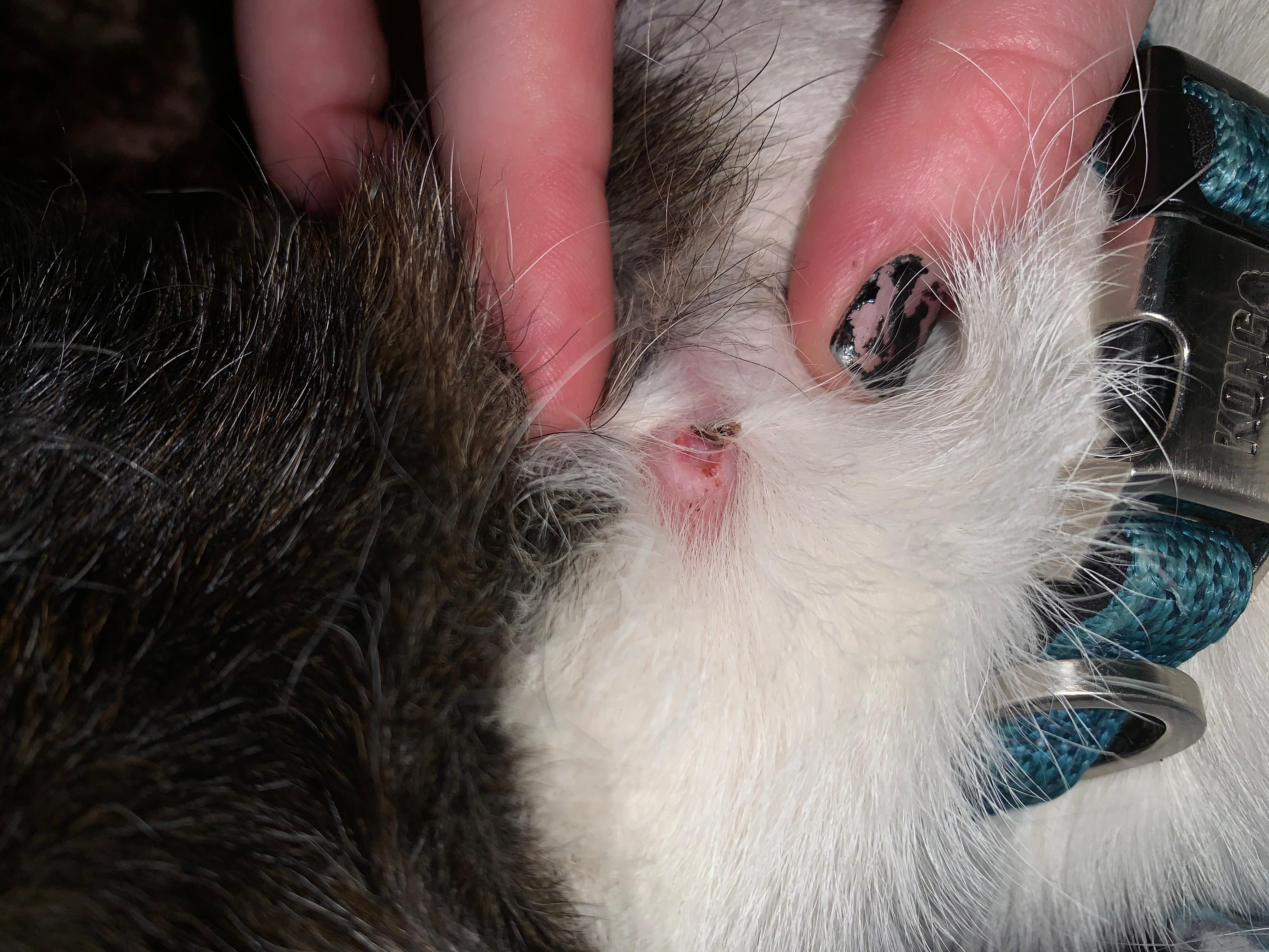 Question details sensitive content