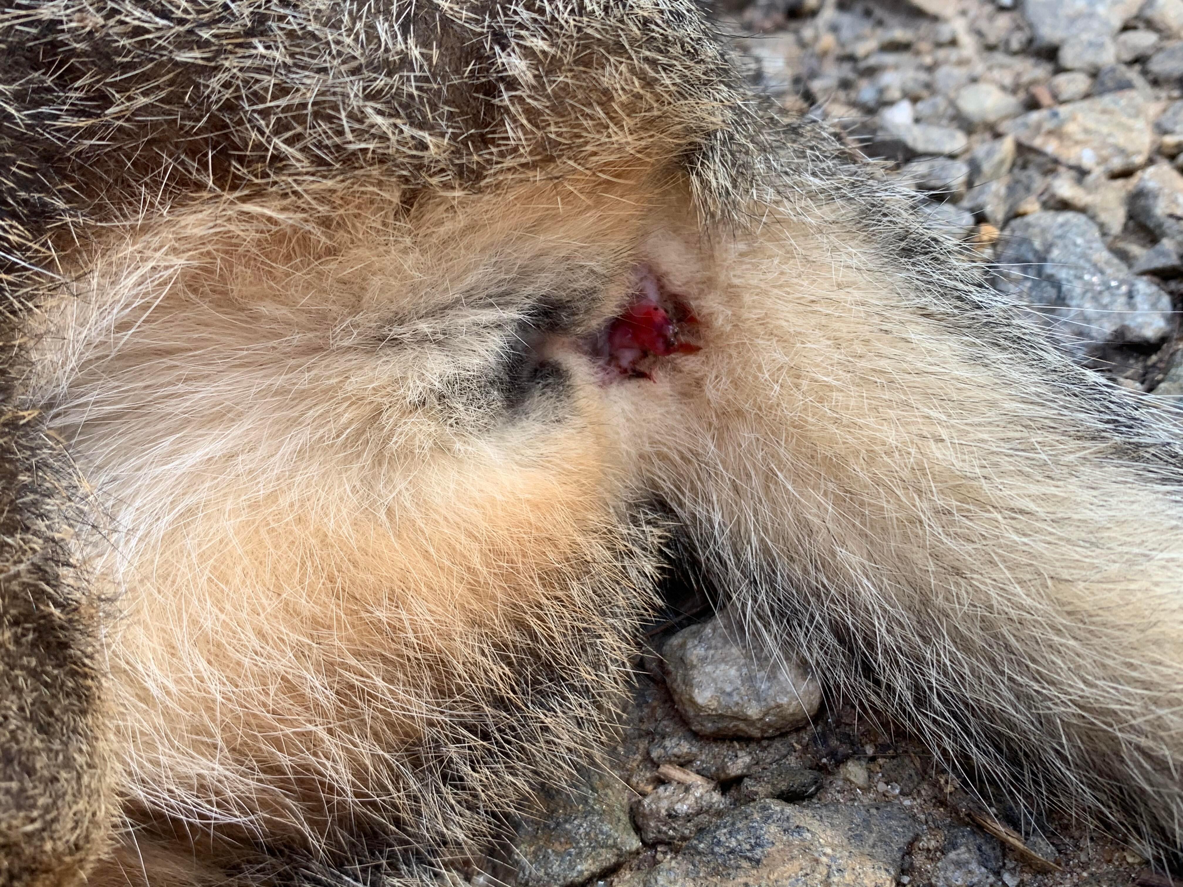 Question details sensitive content