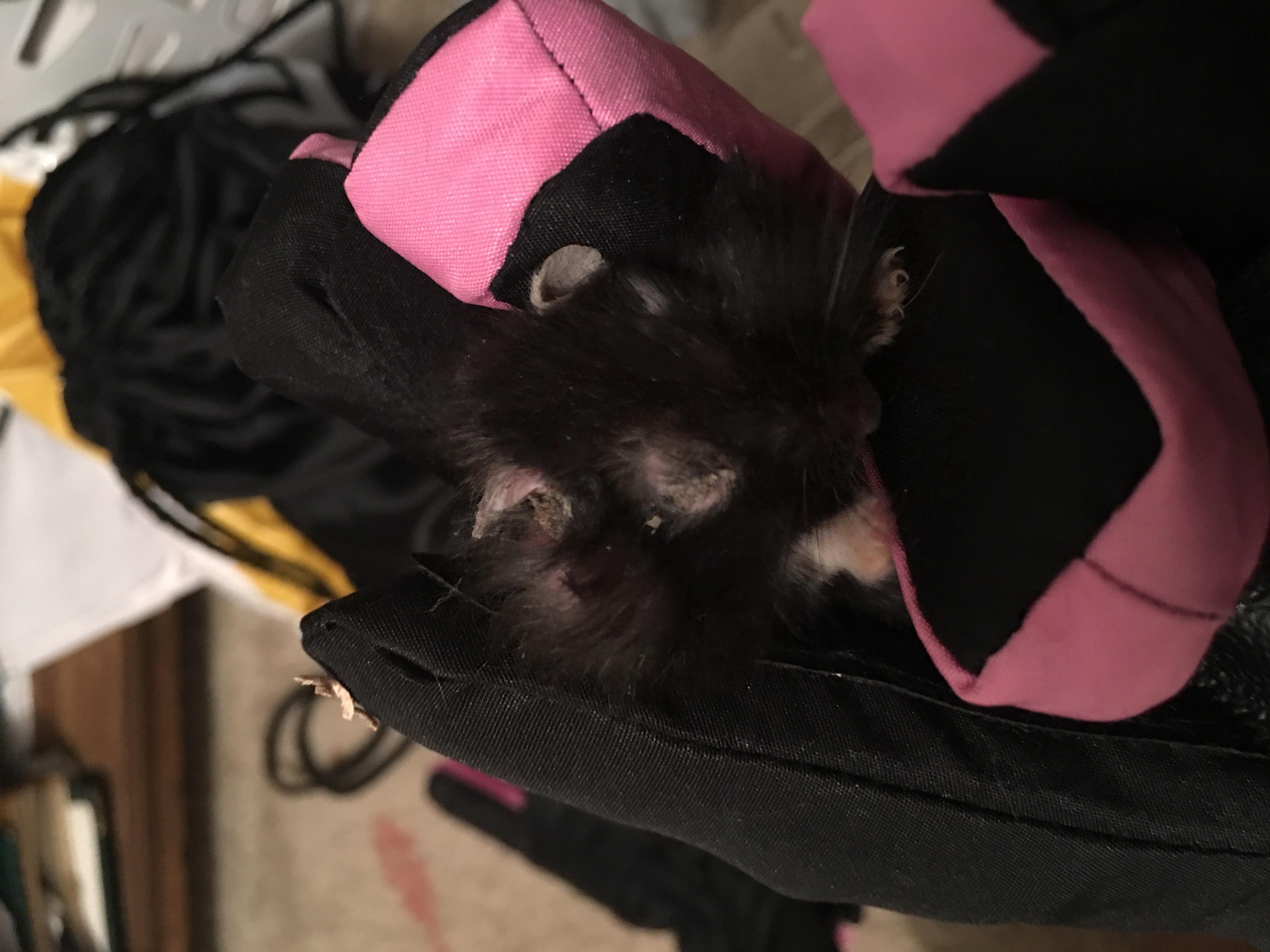 Question details sensitive content