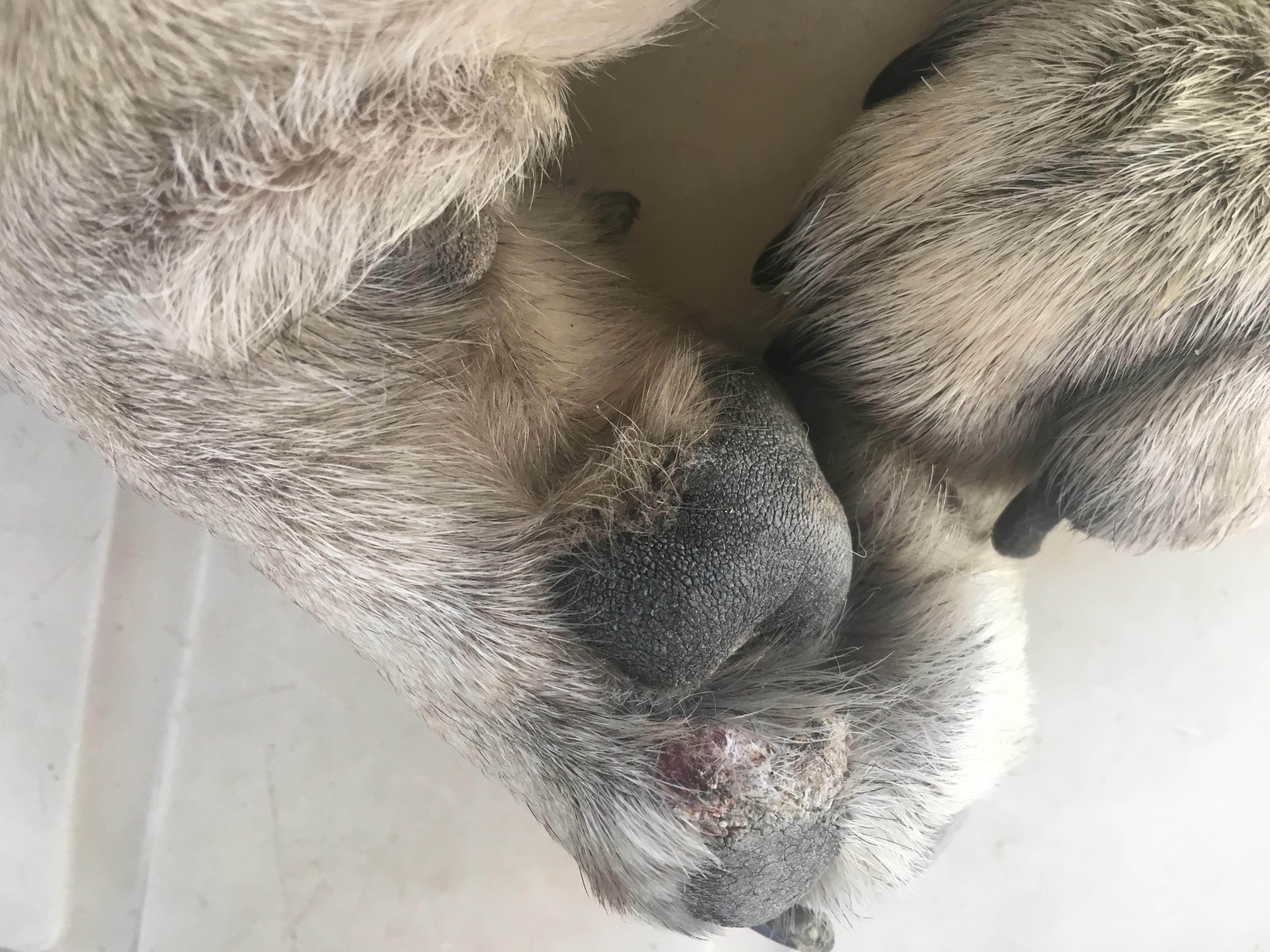 Question details sensitive content