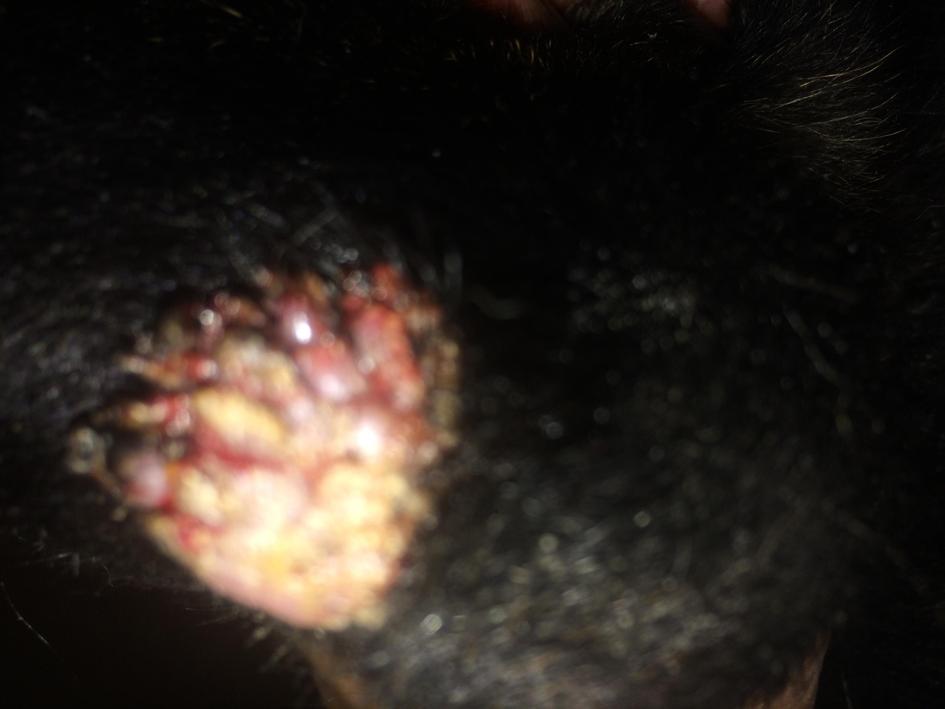 Question details sensitive content