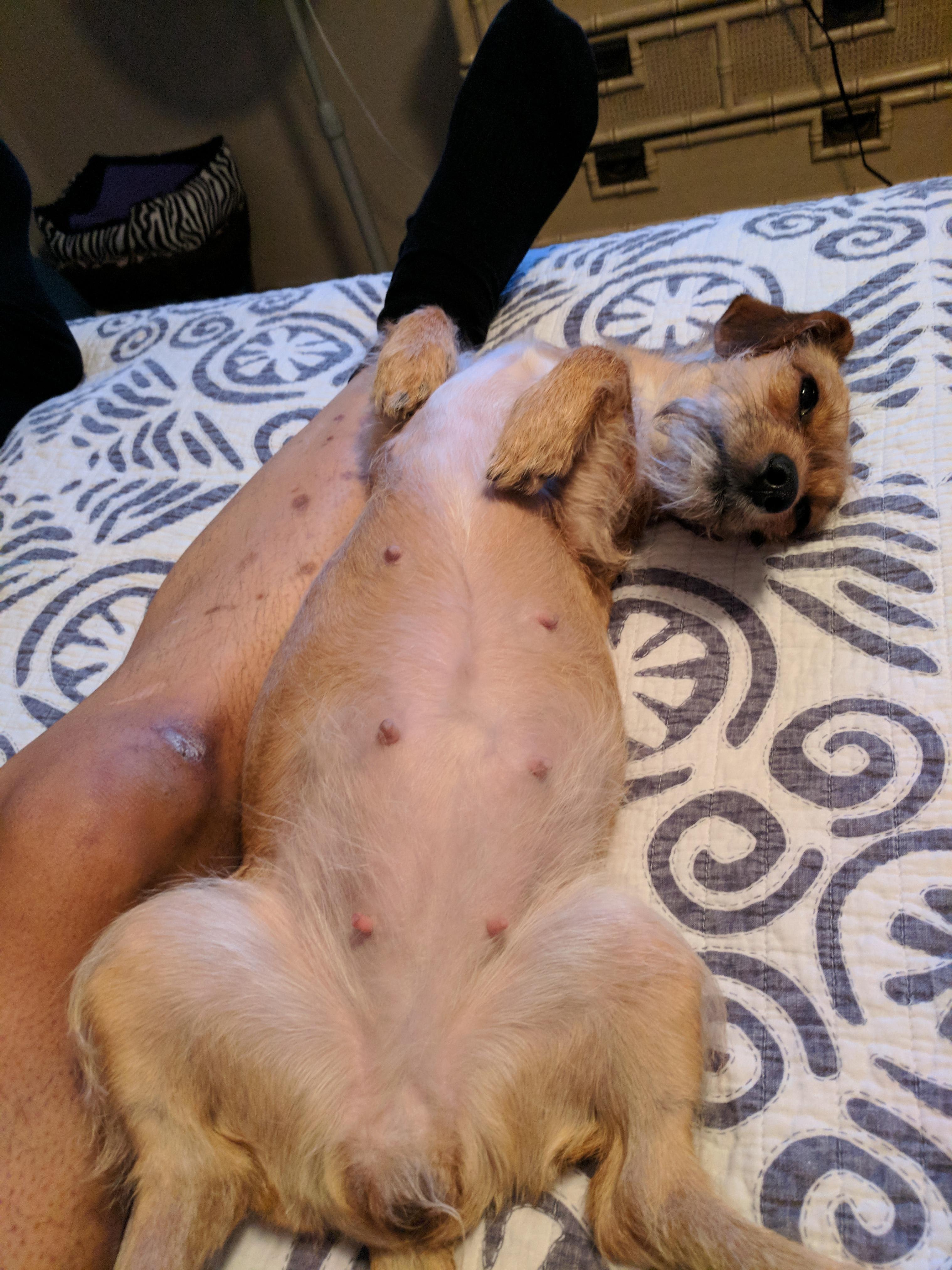 Question details sensitive content