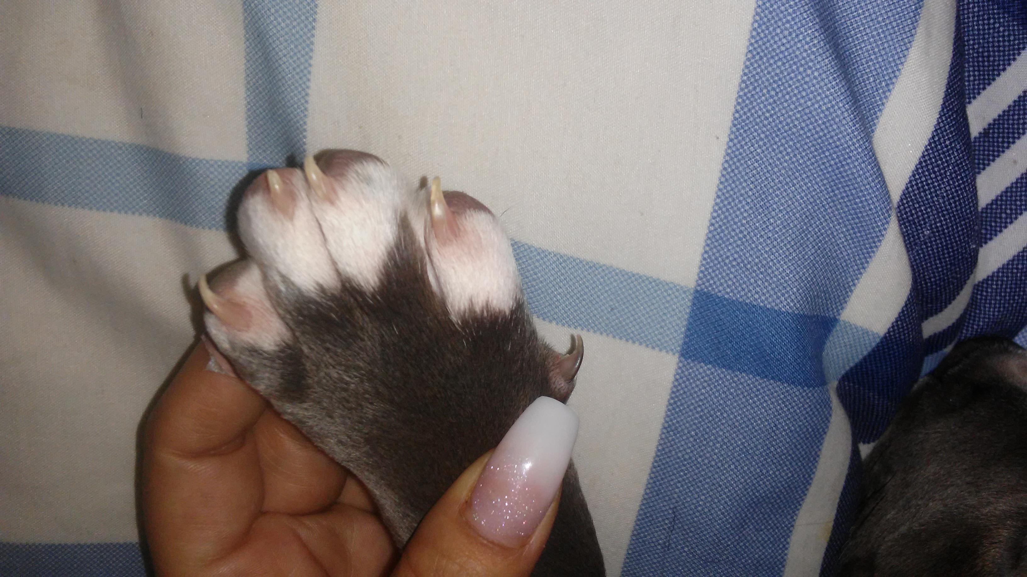 Question details sensitive content