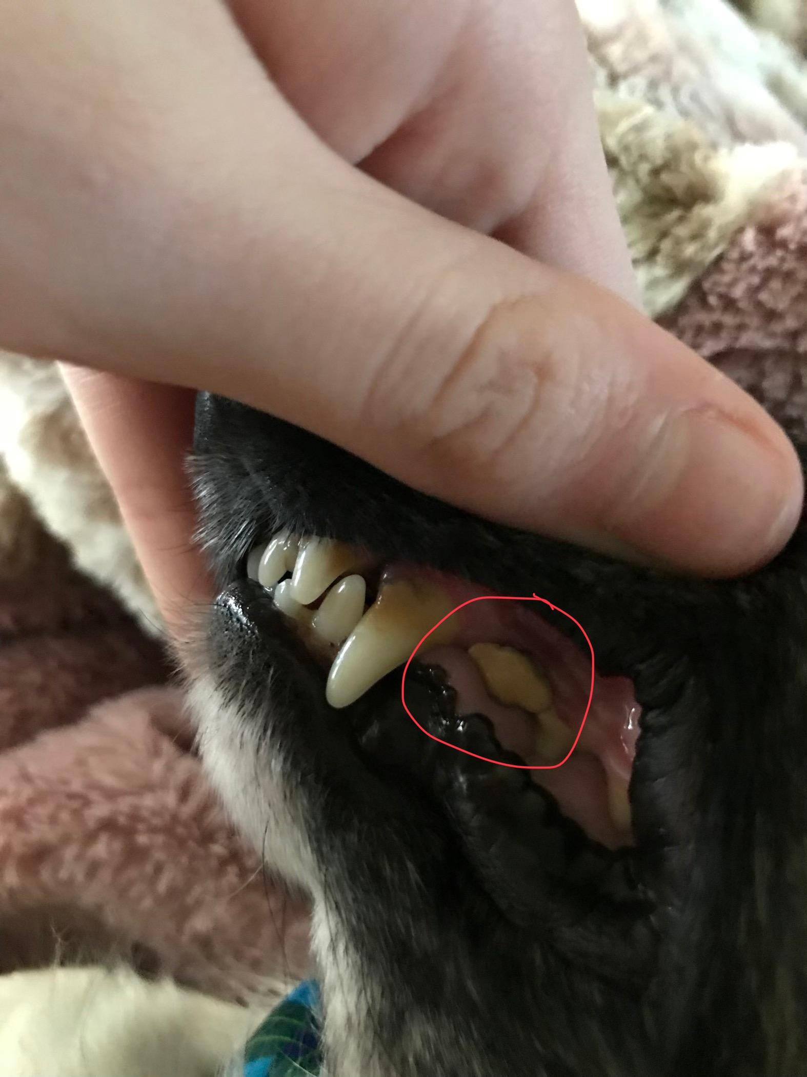 Question details sensitive content