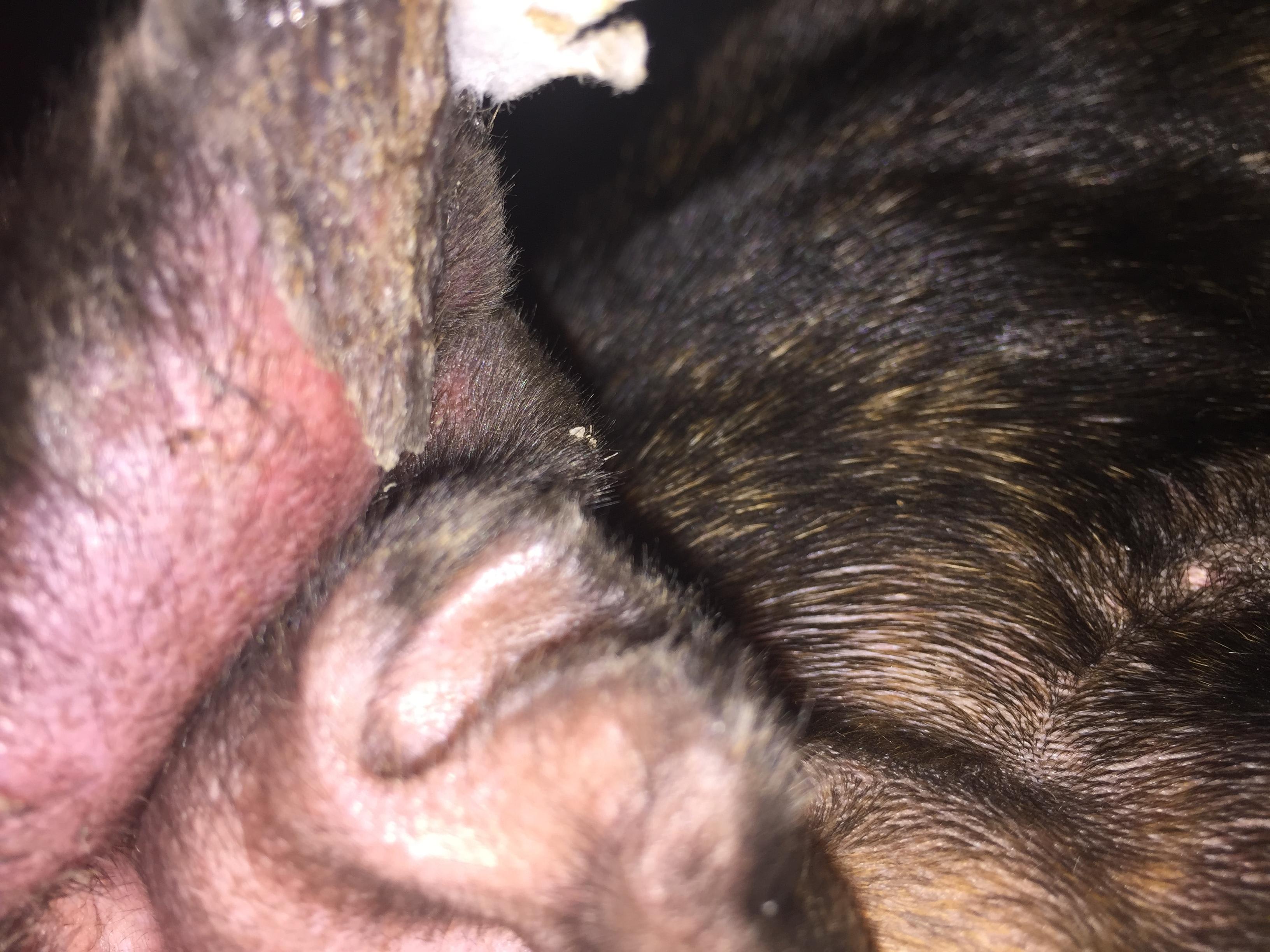 Question details sensitive content