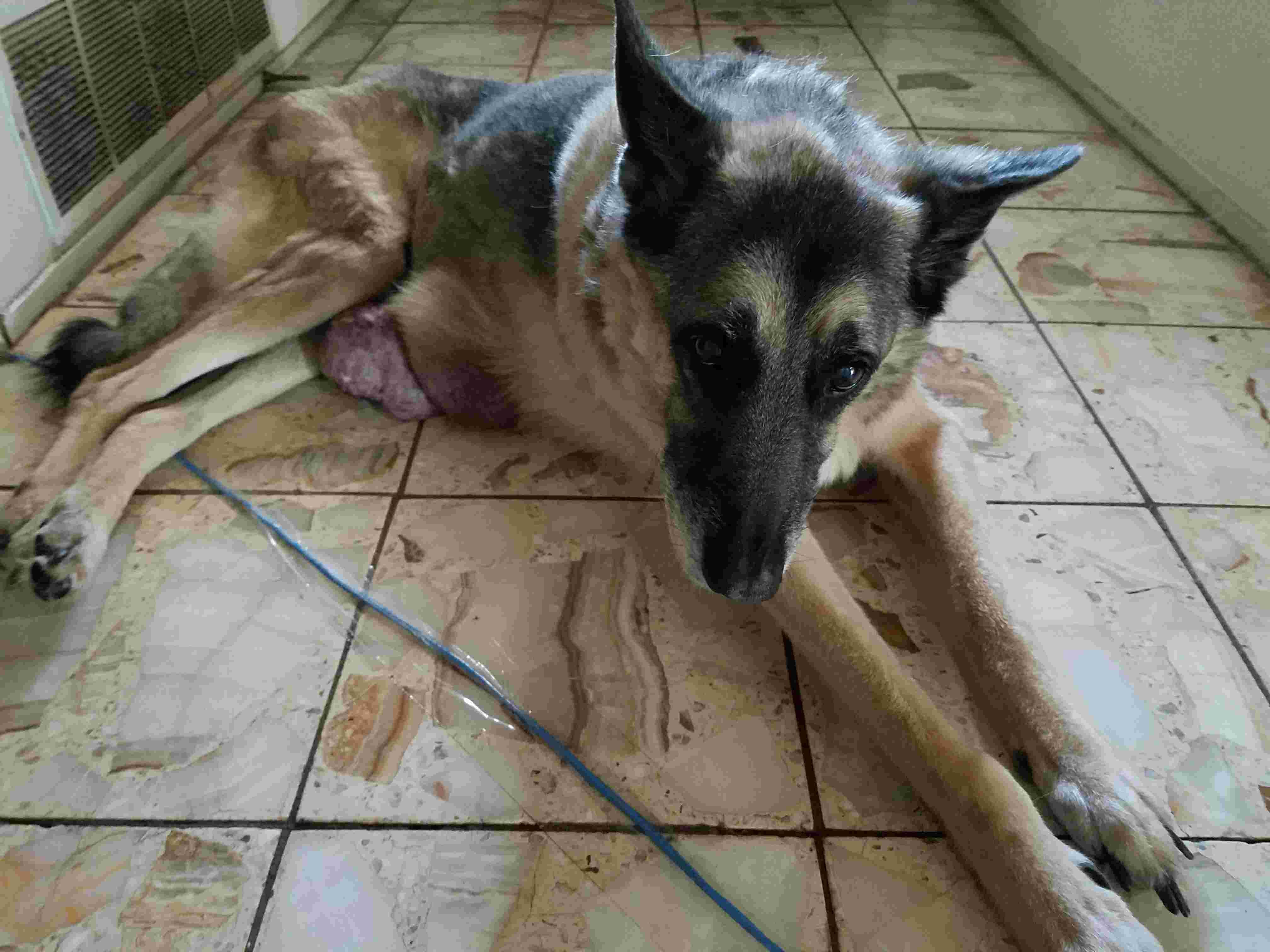 Question details sensitive content