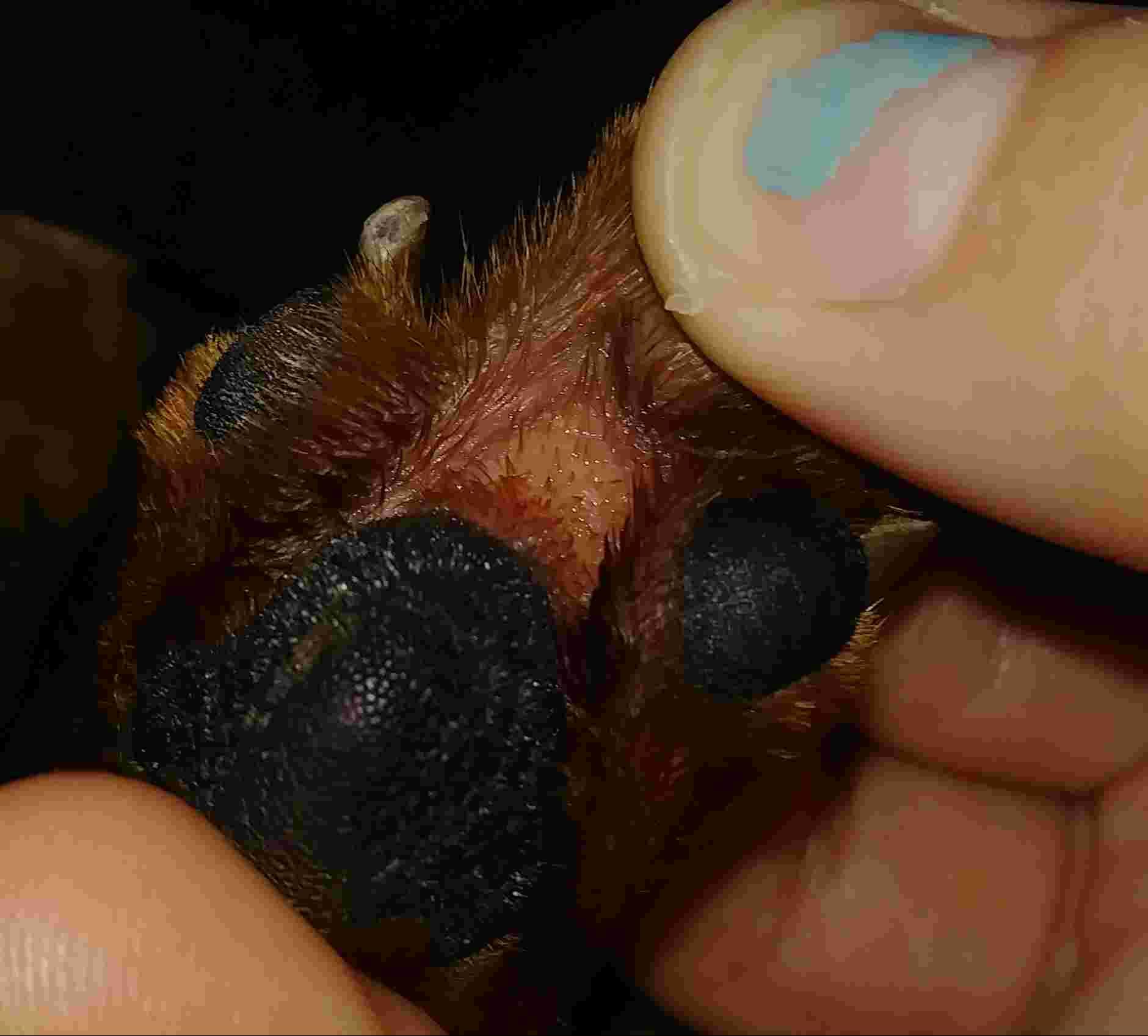 Question details sensitive content