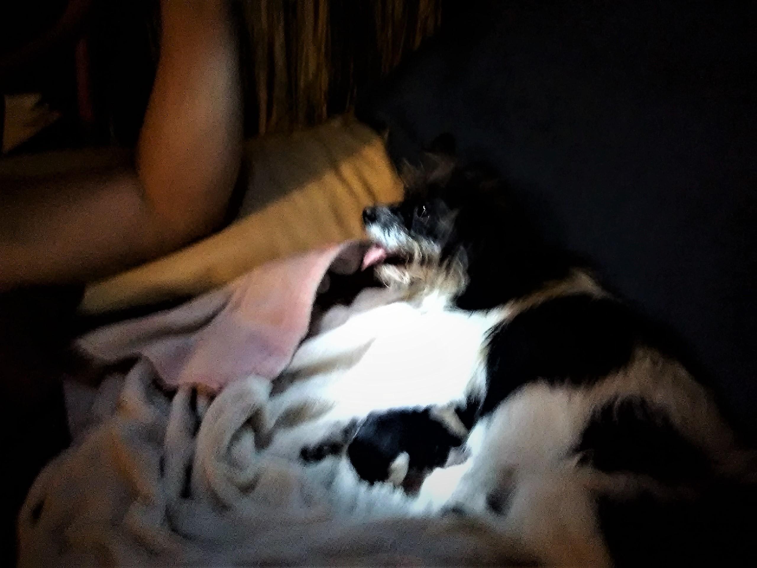 Question details sensitive content