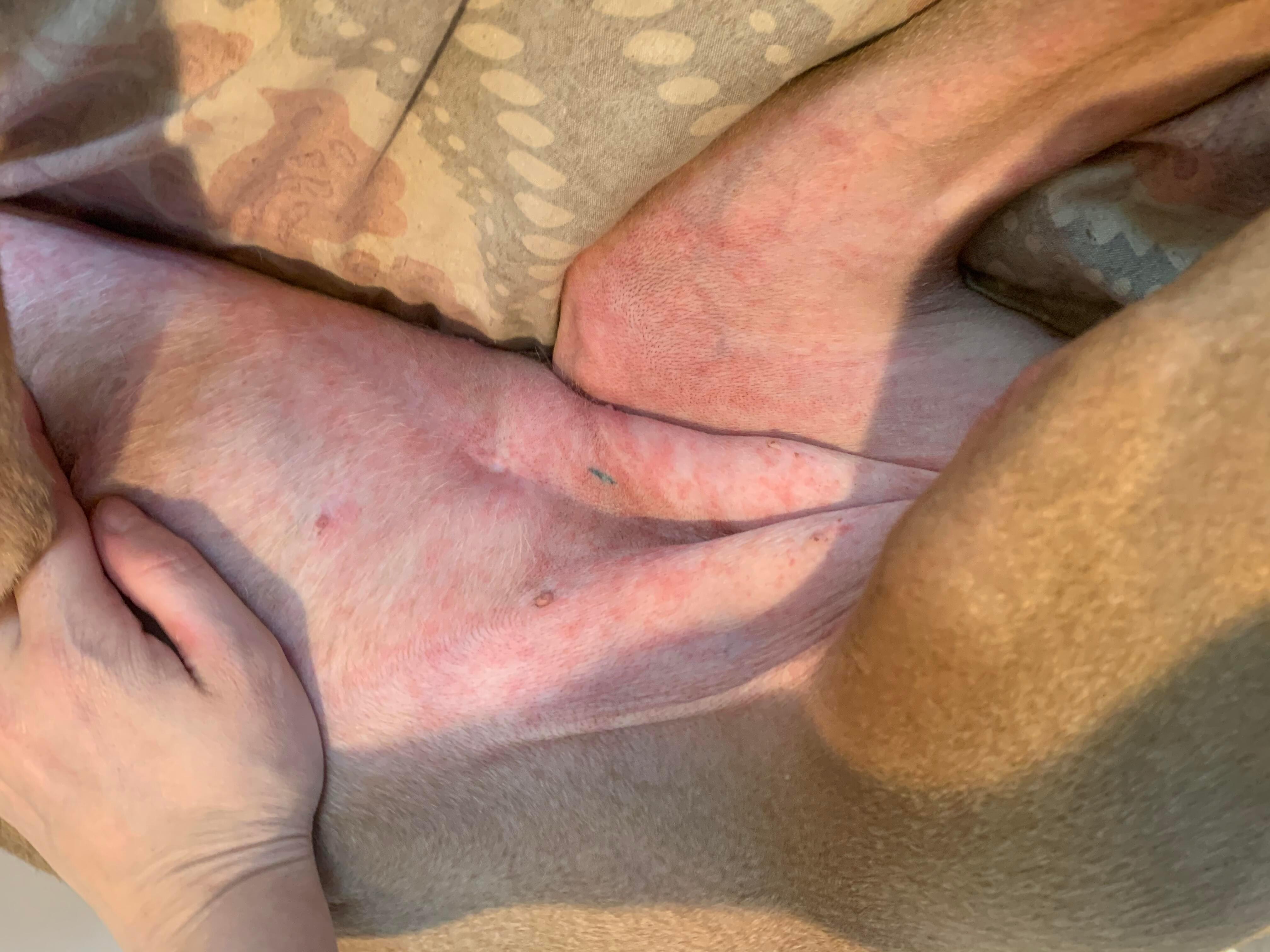 Question details sensitive content