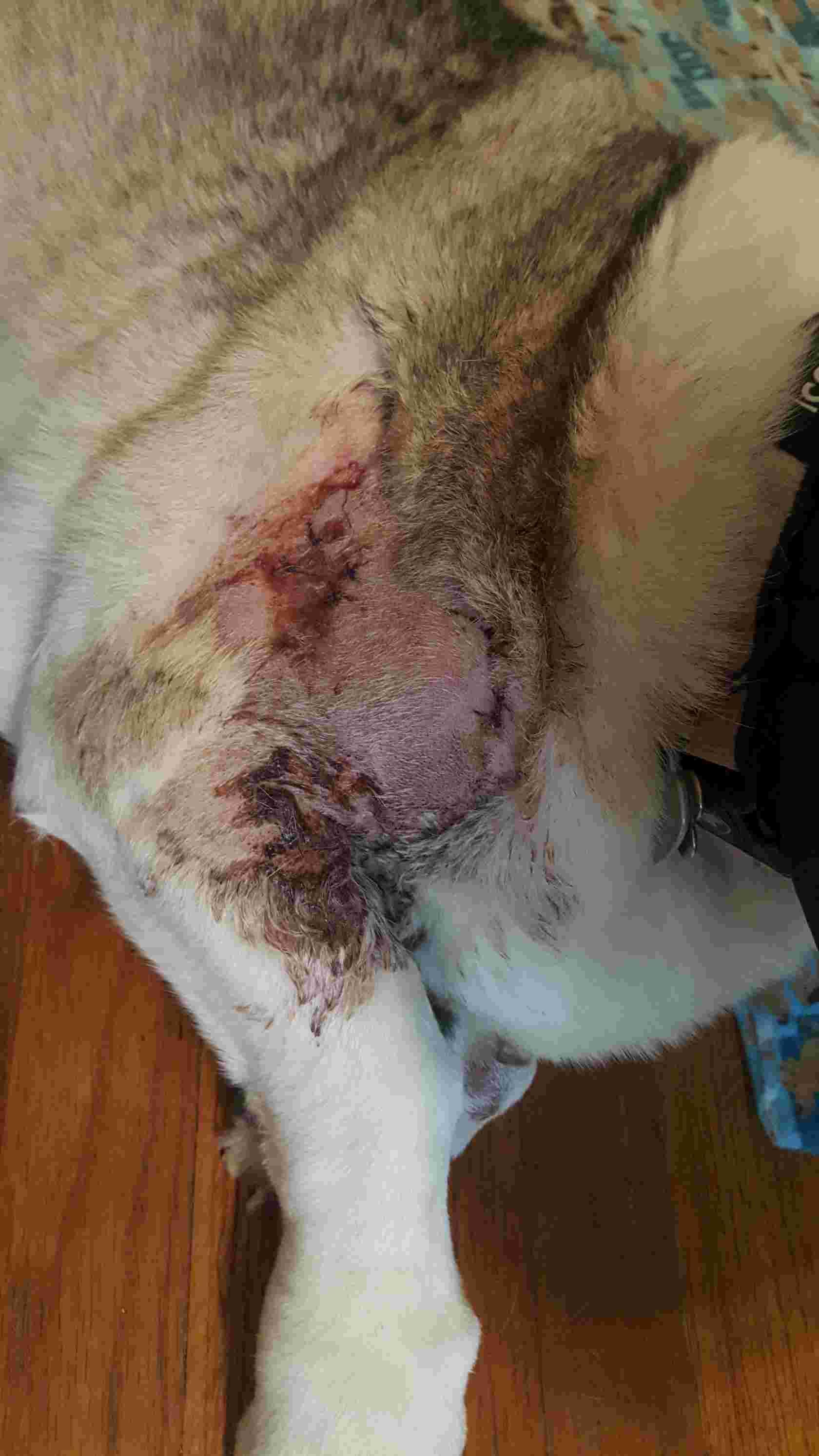 Question details sensitive content