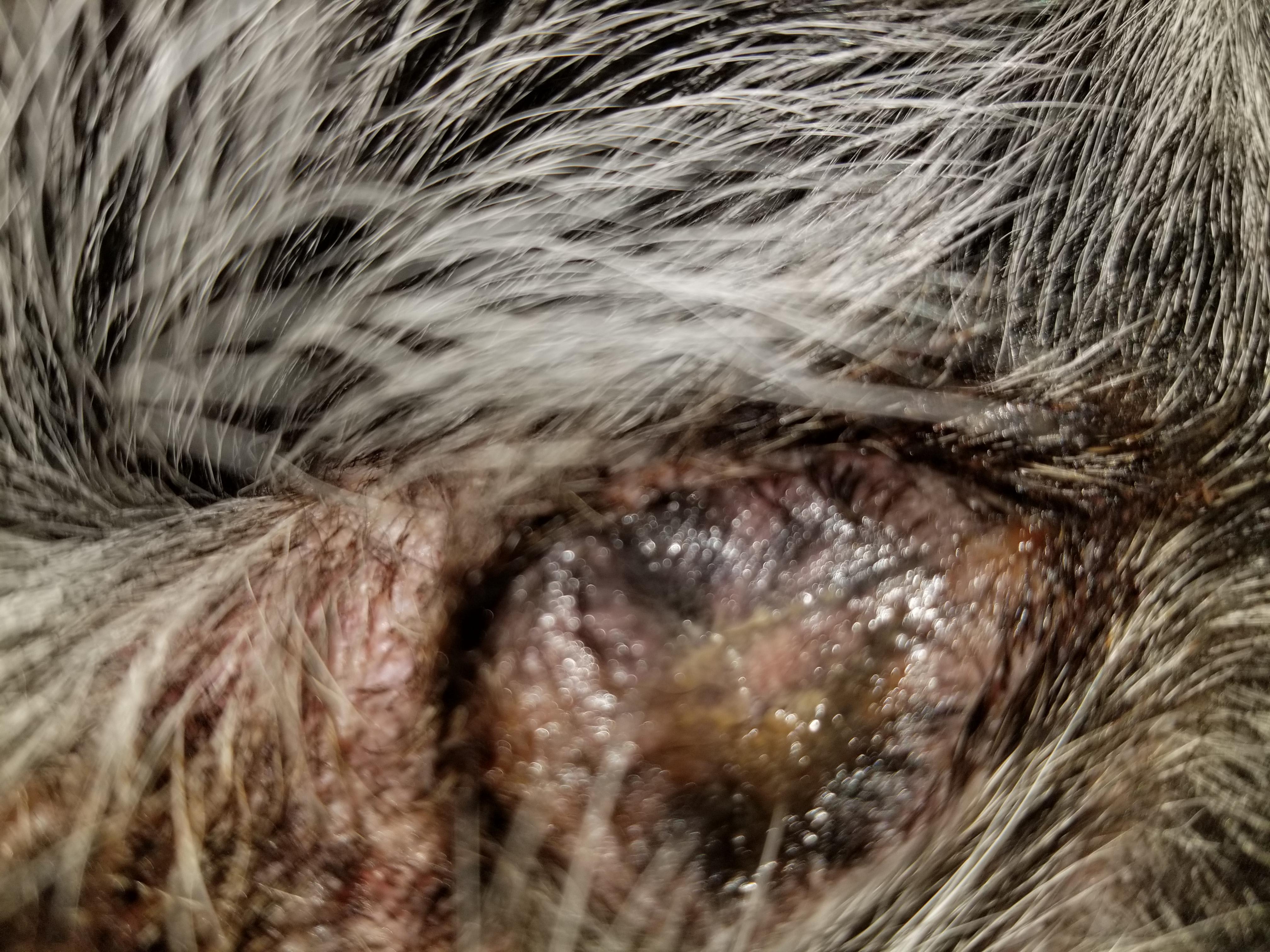 Question details sensitive content