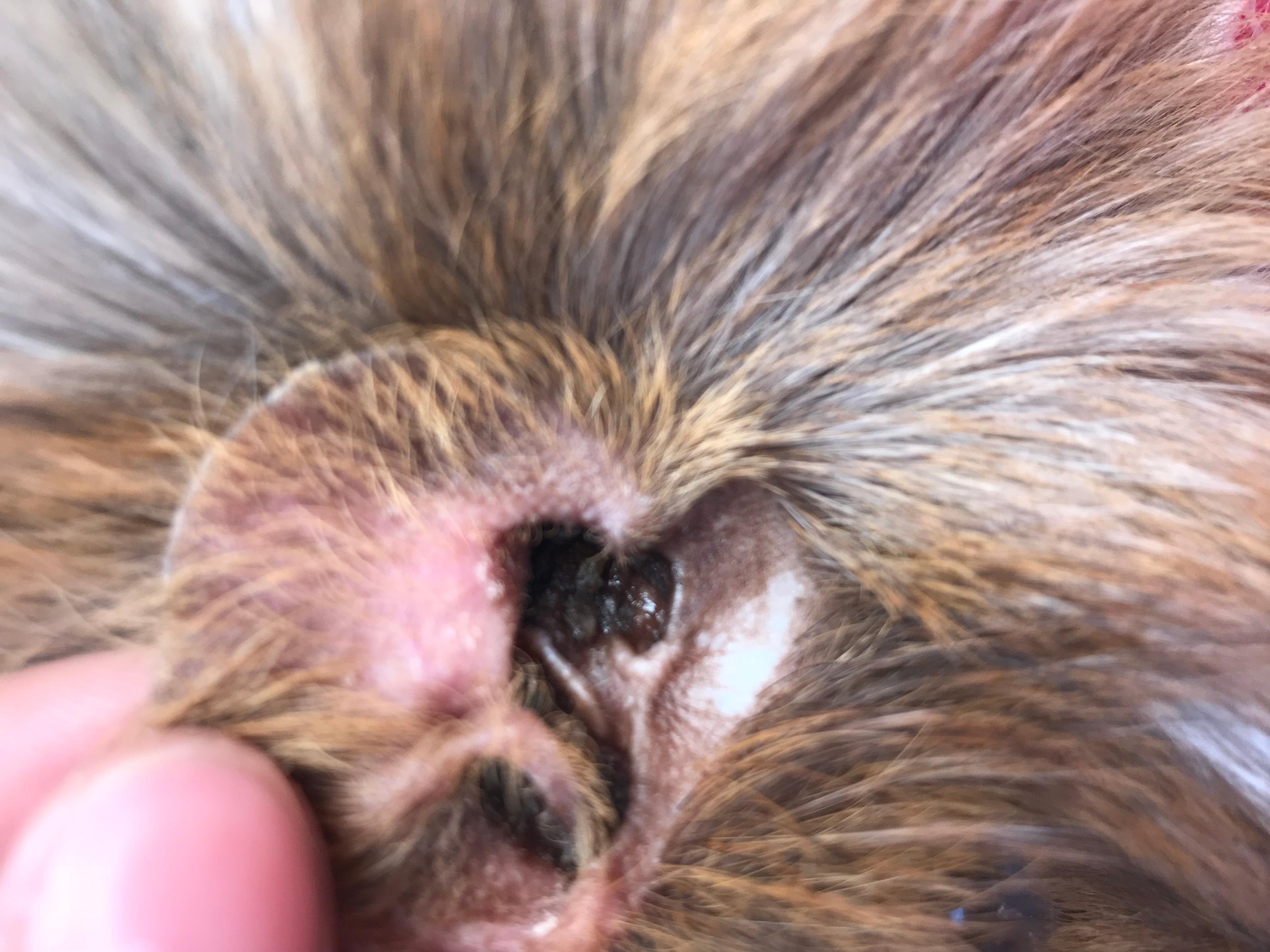 Question details sensitive content