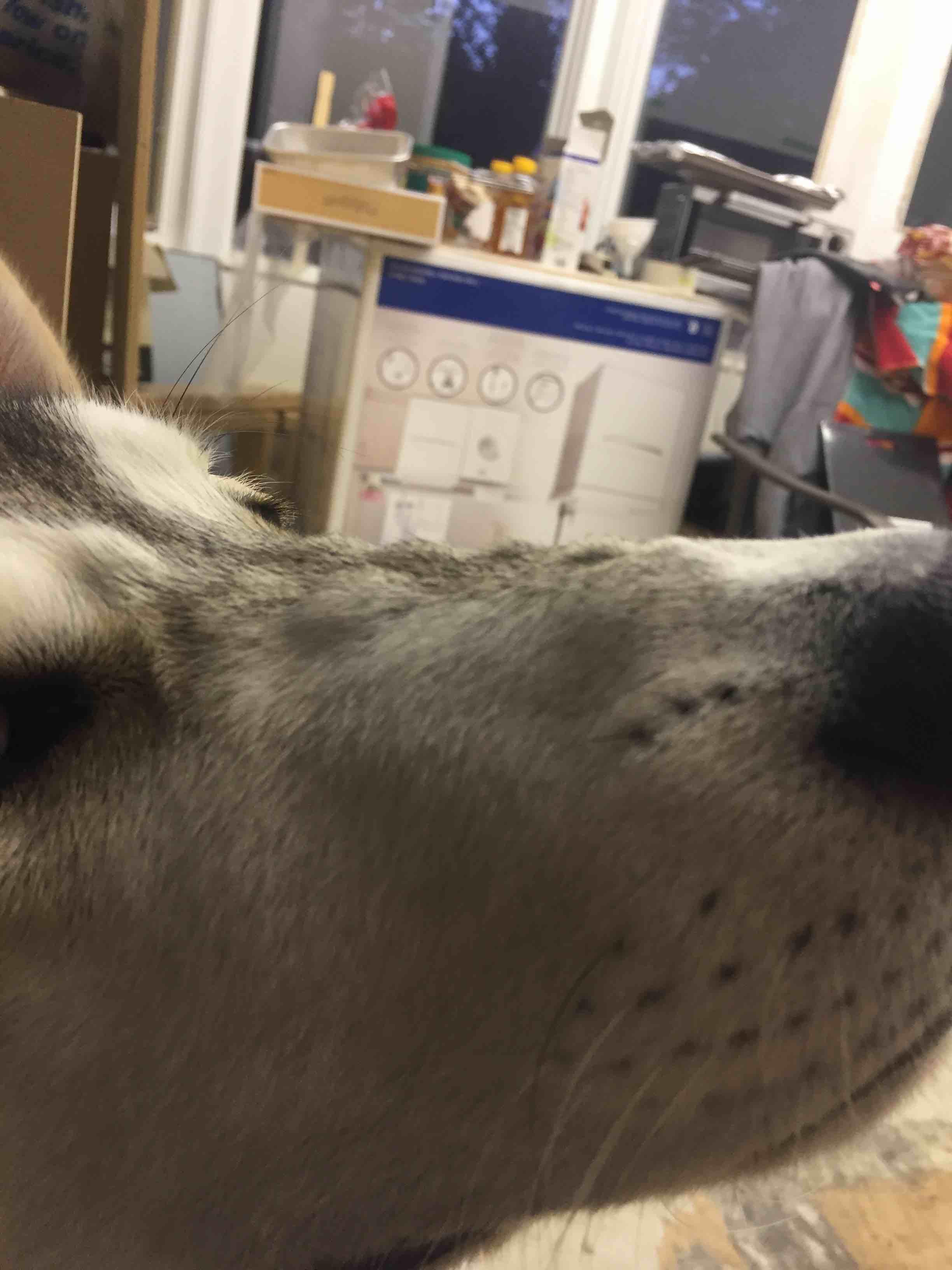 Question details sensitive content