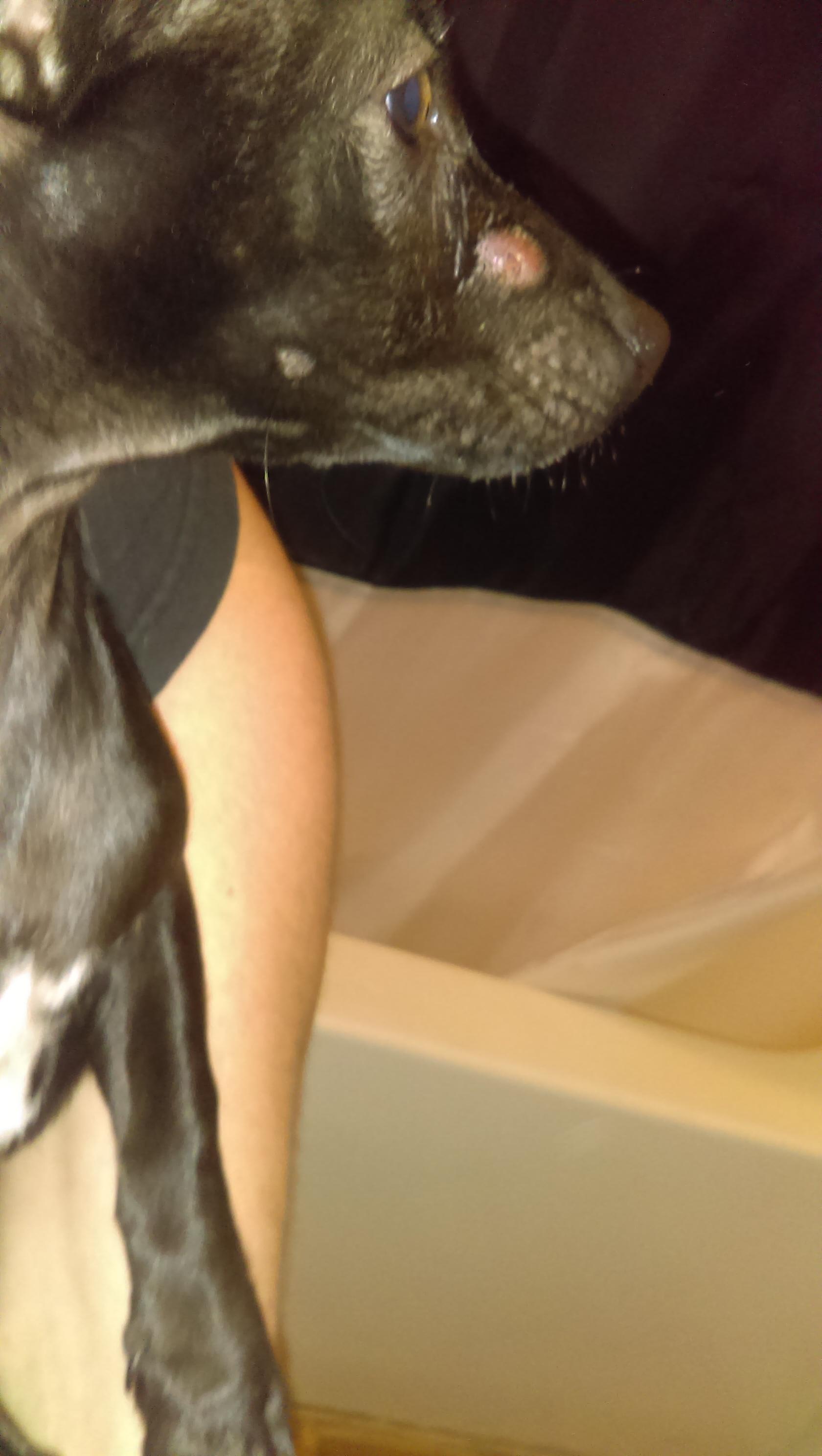 Question details sensitive content