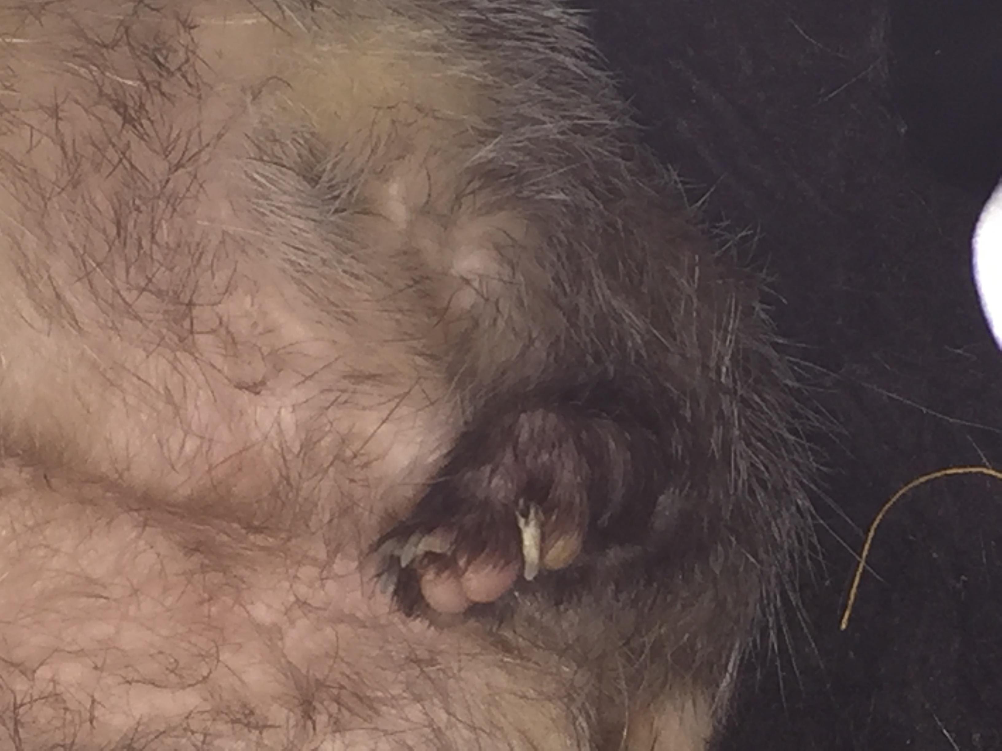 Question details sensitive content