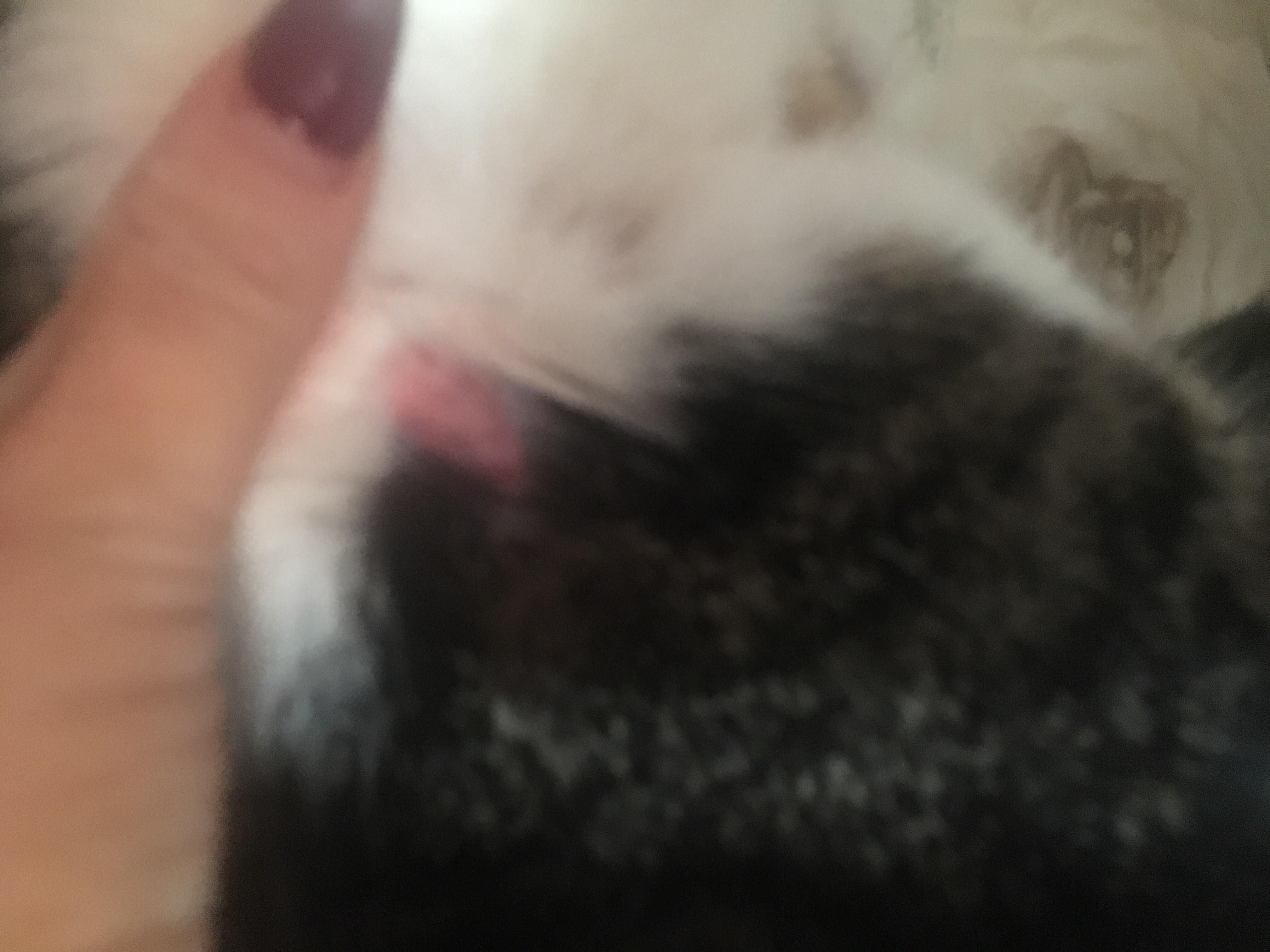 Question details sensitive content