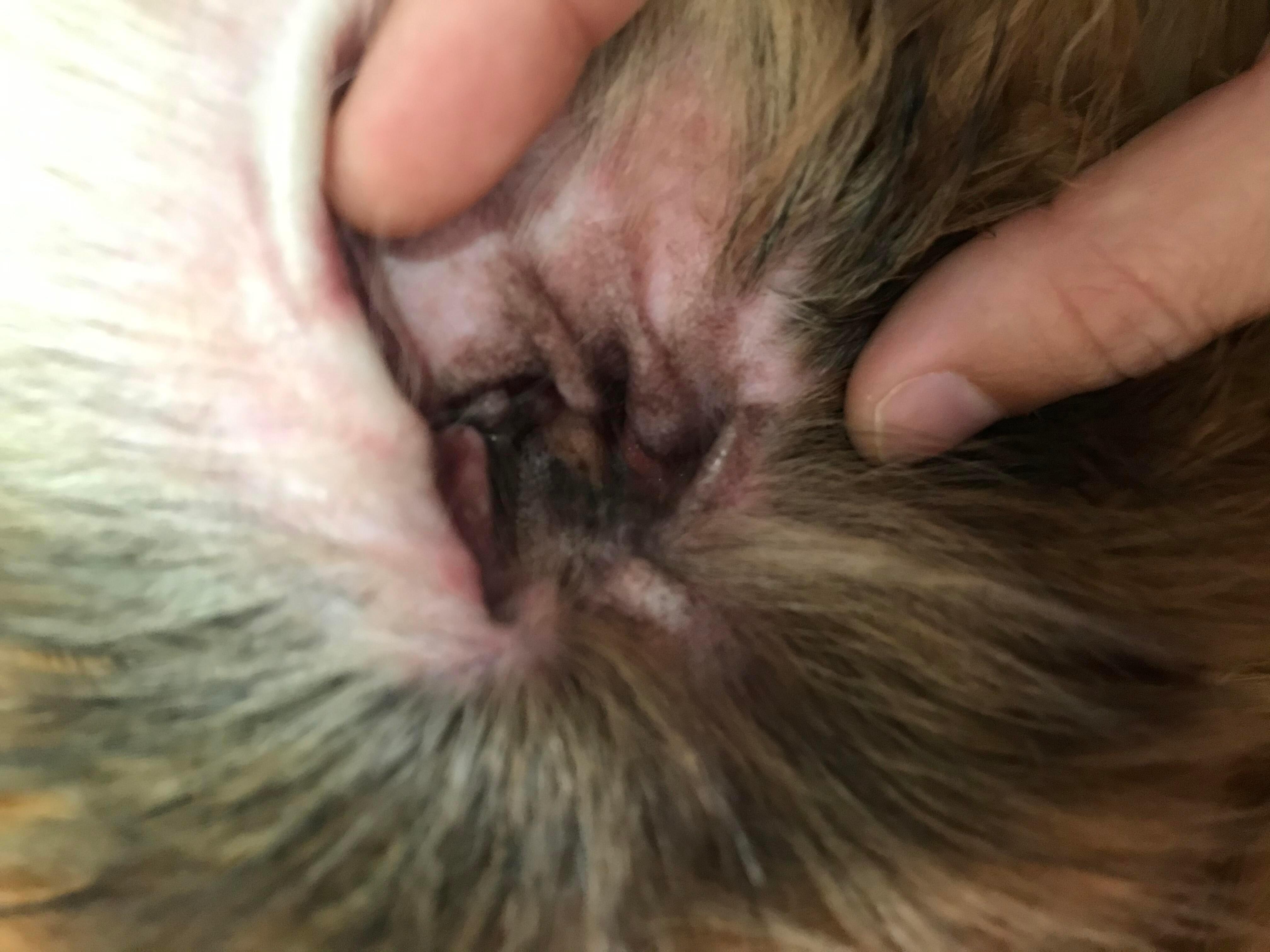 Question details sensitive content