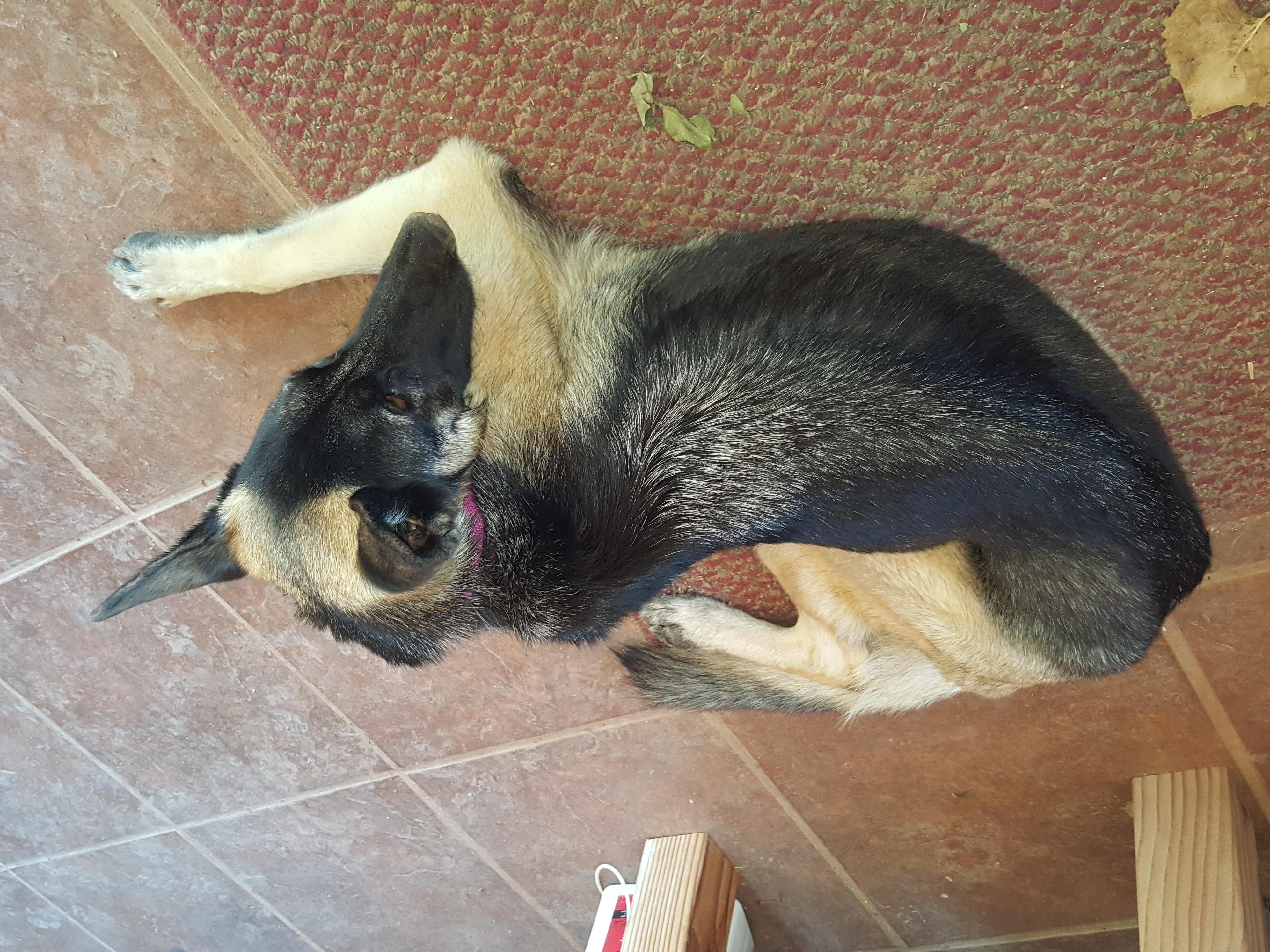 Question details sensitive content