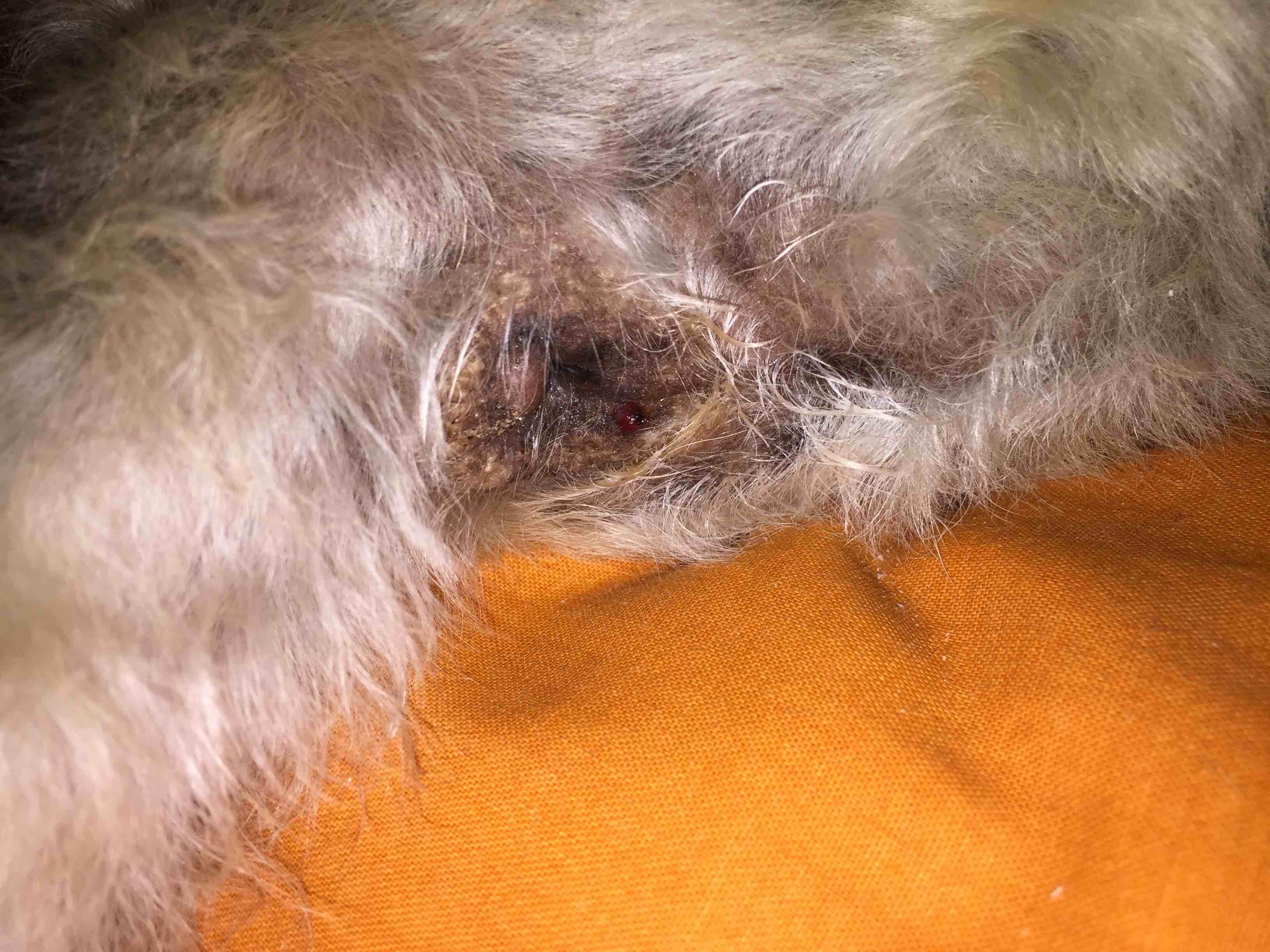 Question details sensitive content