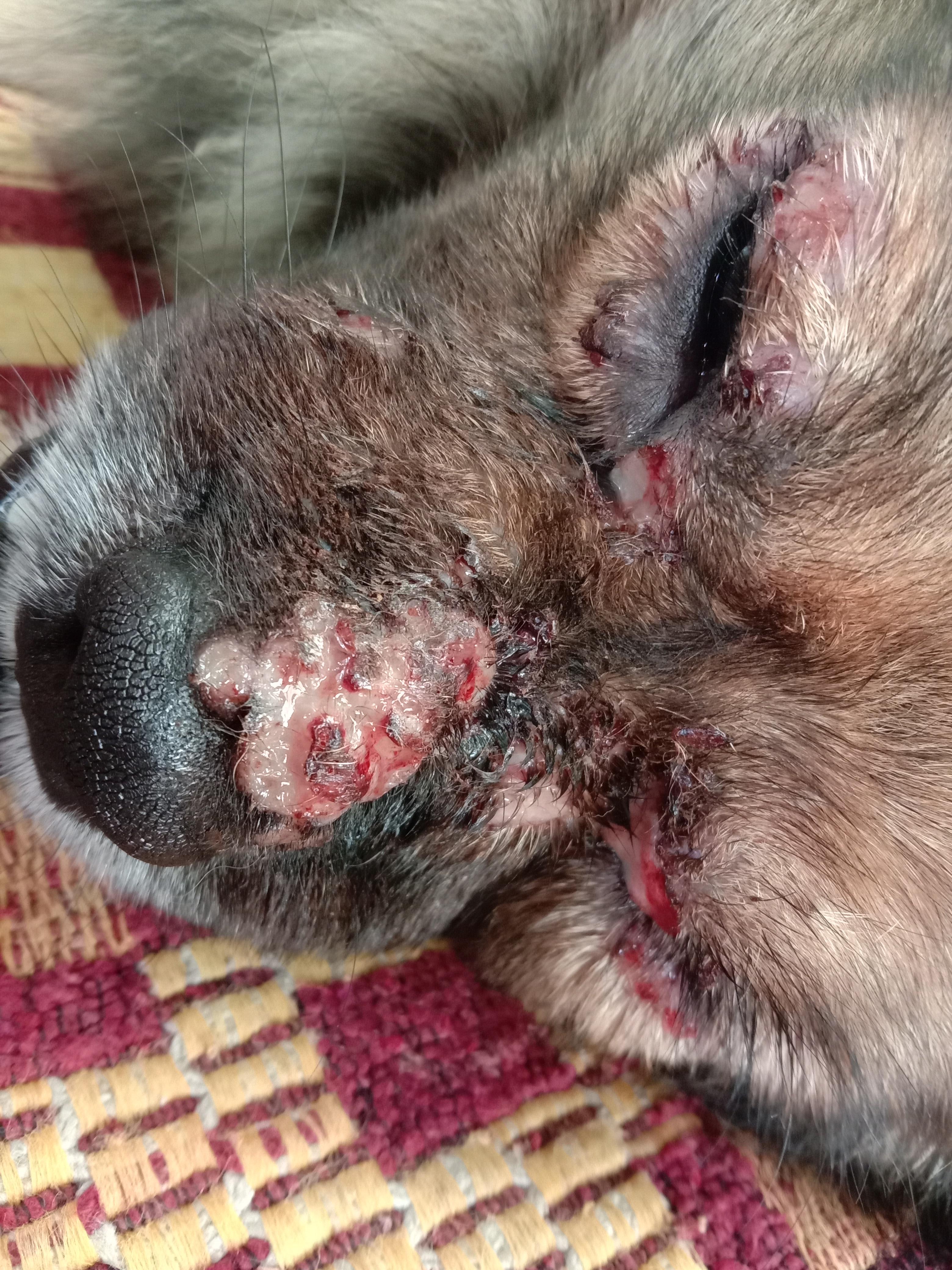 Question details sensitive content