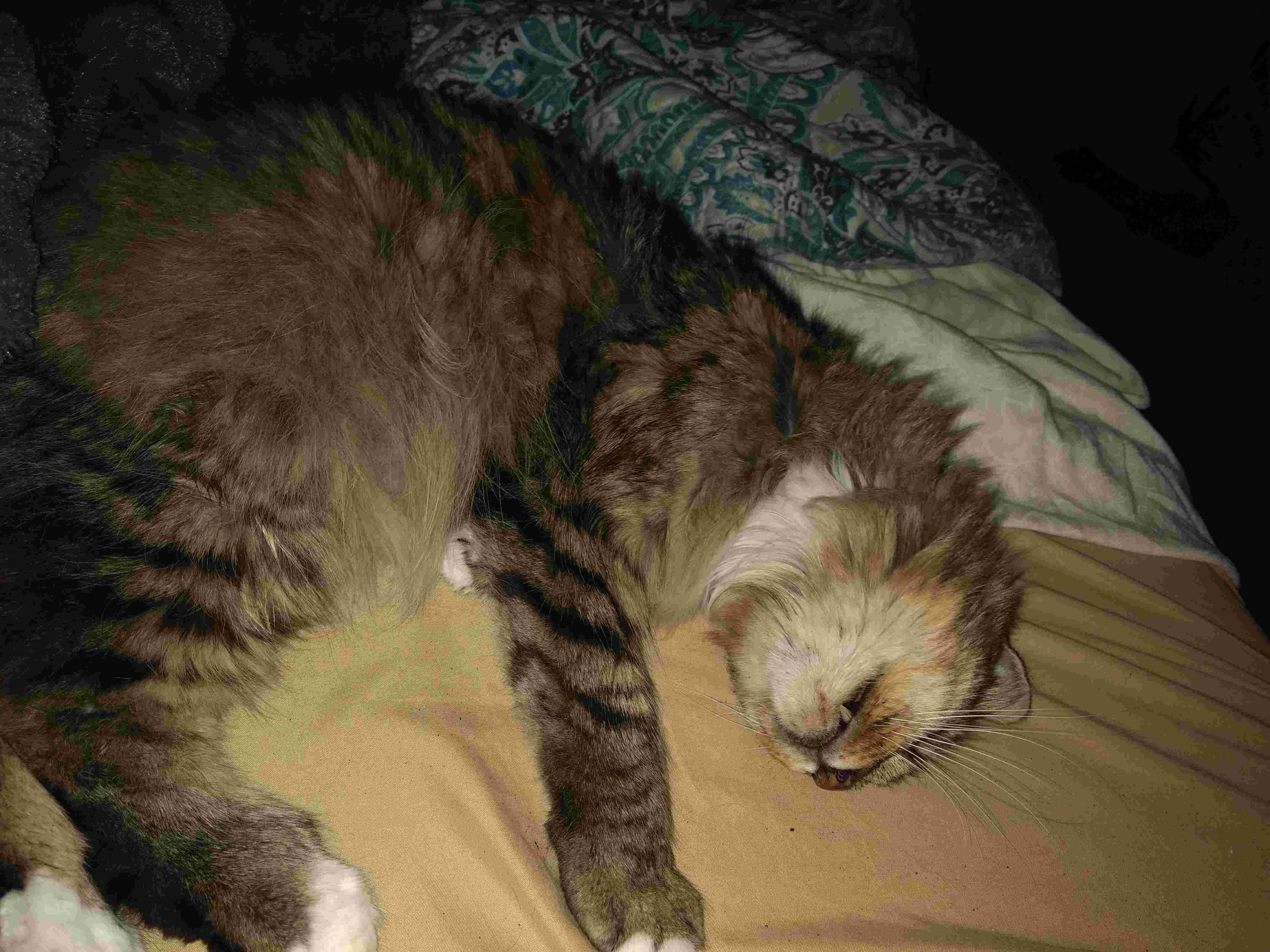 Question details sensitive content