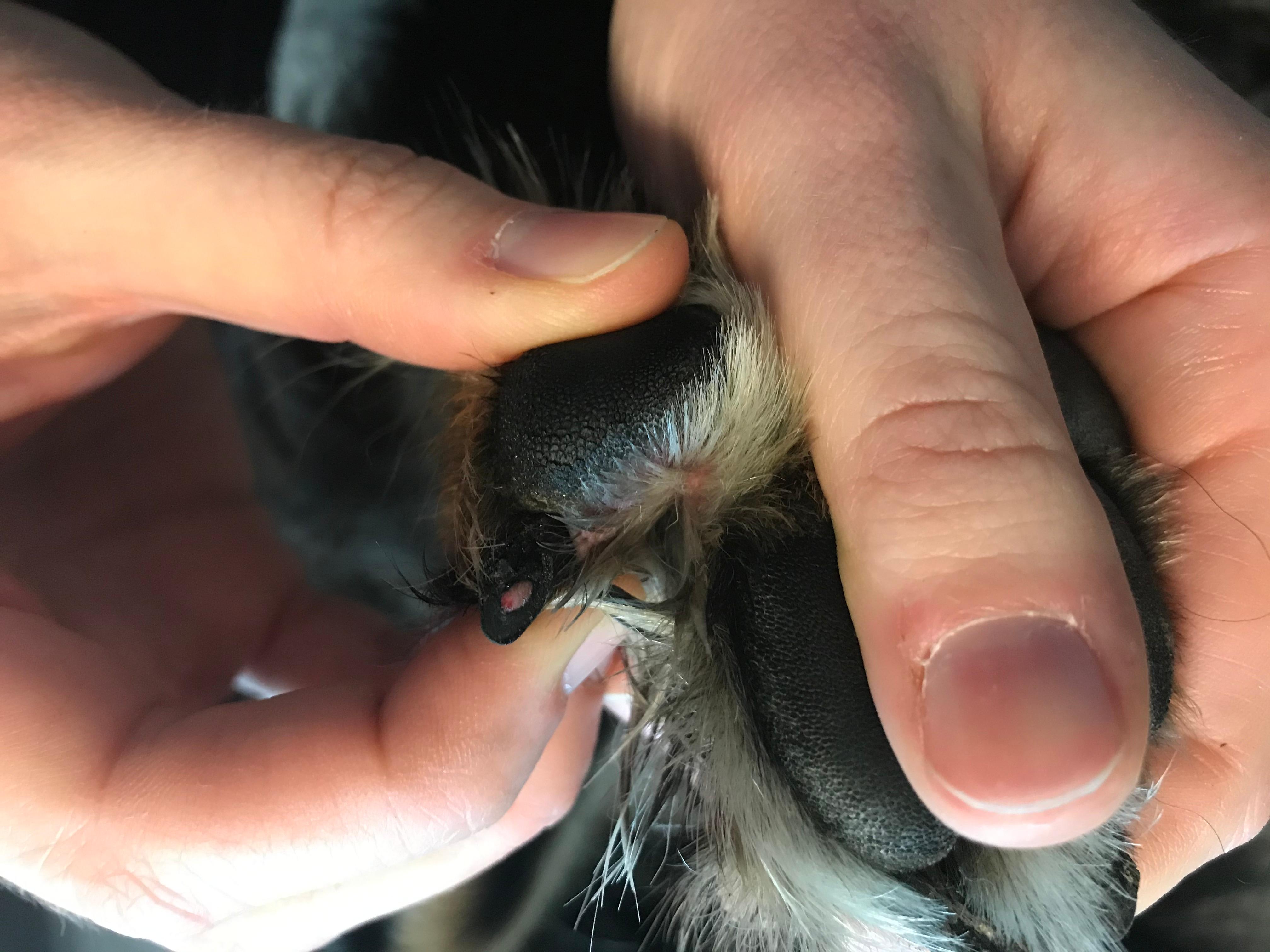 Question details sensitive content