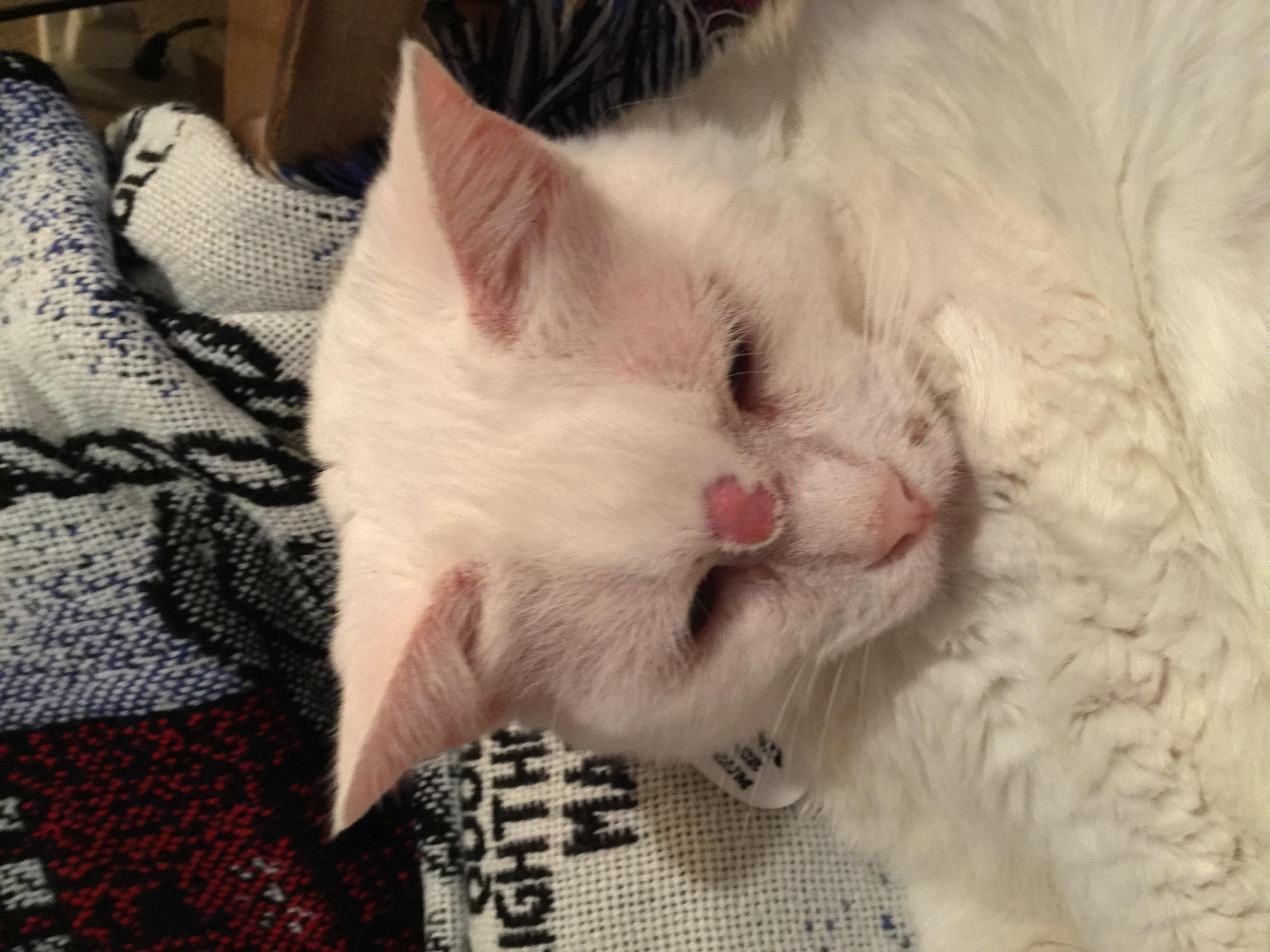 Question details sensitive content